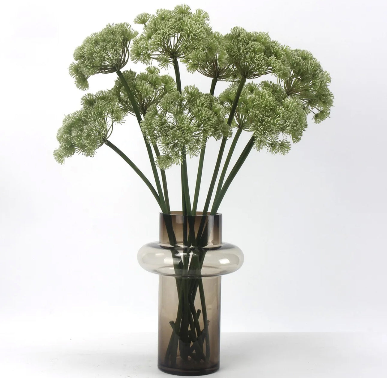Angelica Queen Anne’s Lace Green
