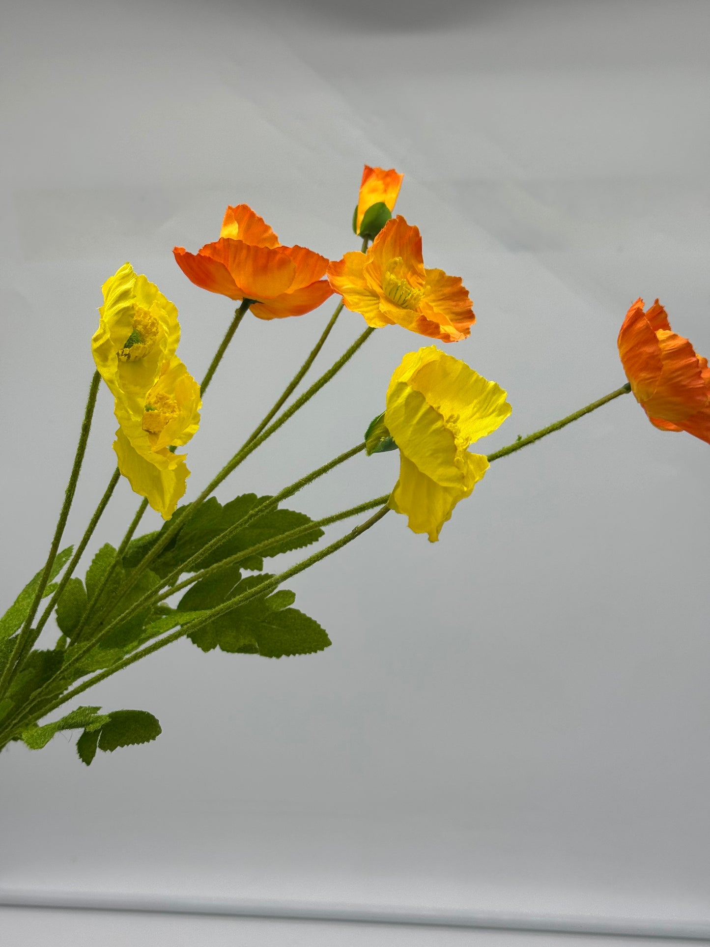 Poppy Spray