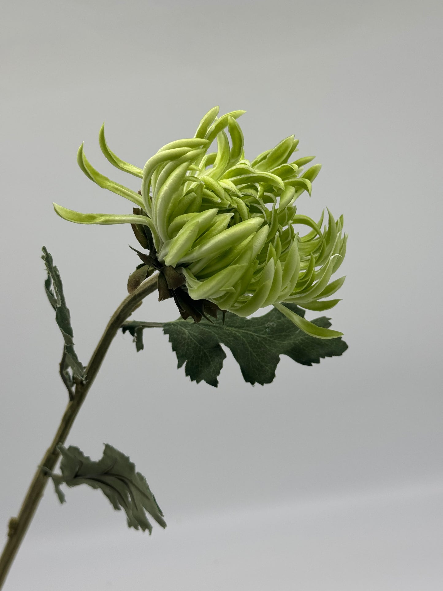 Real Touch Chrysanthemum Single Stem Green