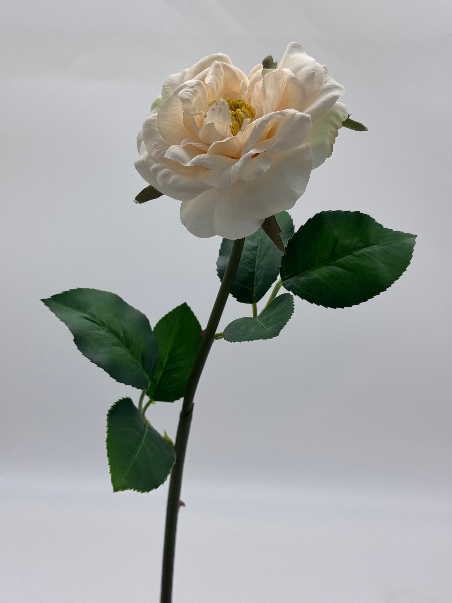 Tea Rose Single Stem Silk