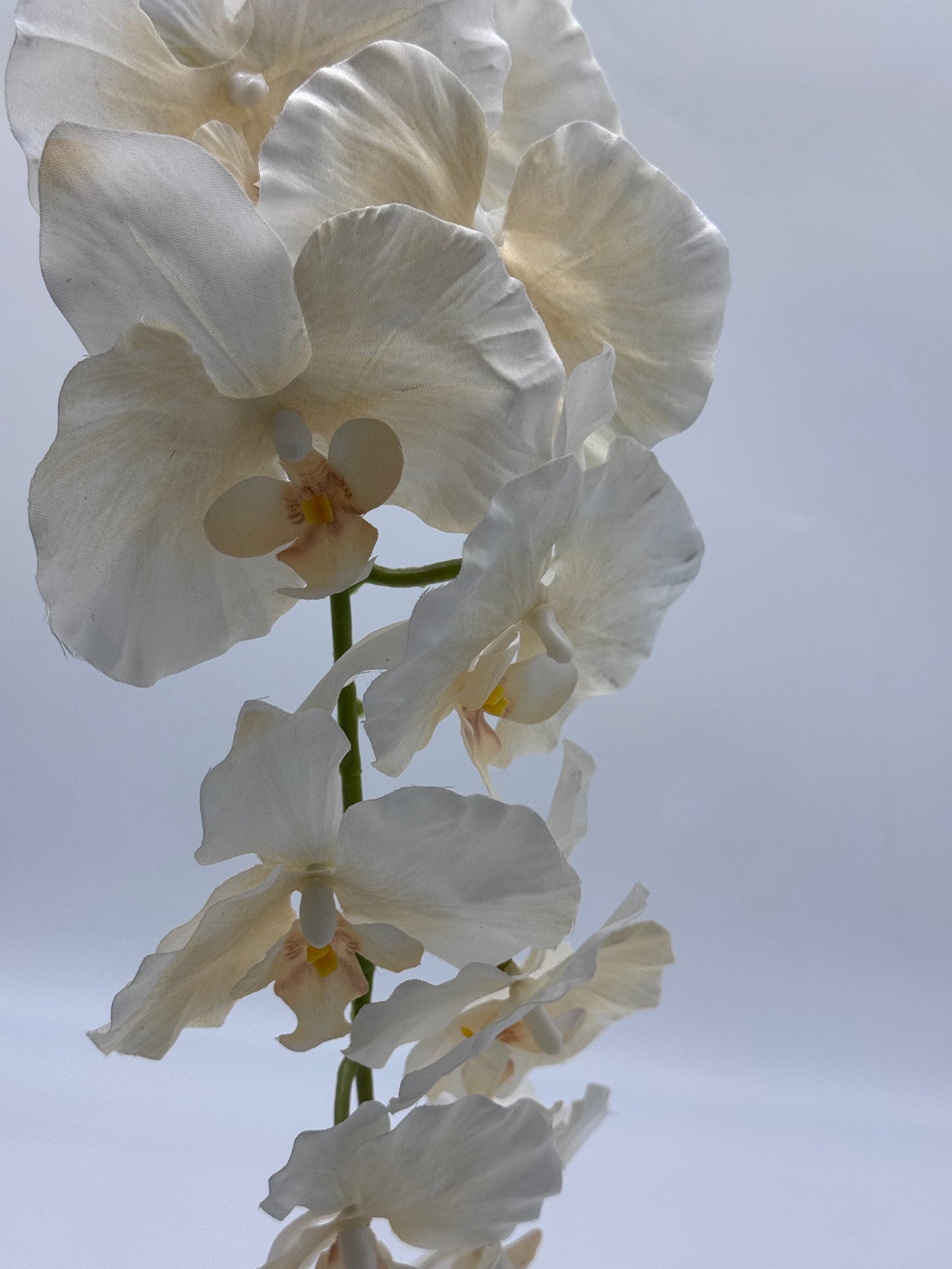 Orchid Silk