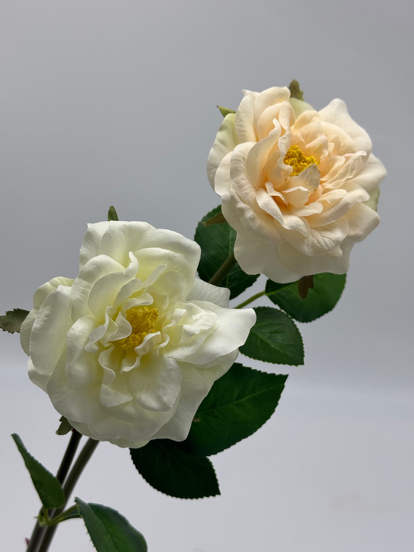 Tea Rose Single Stem Silk