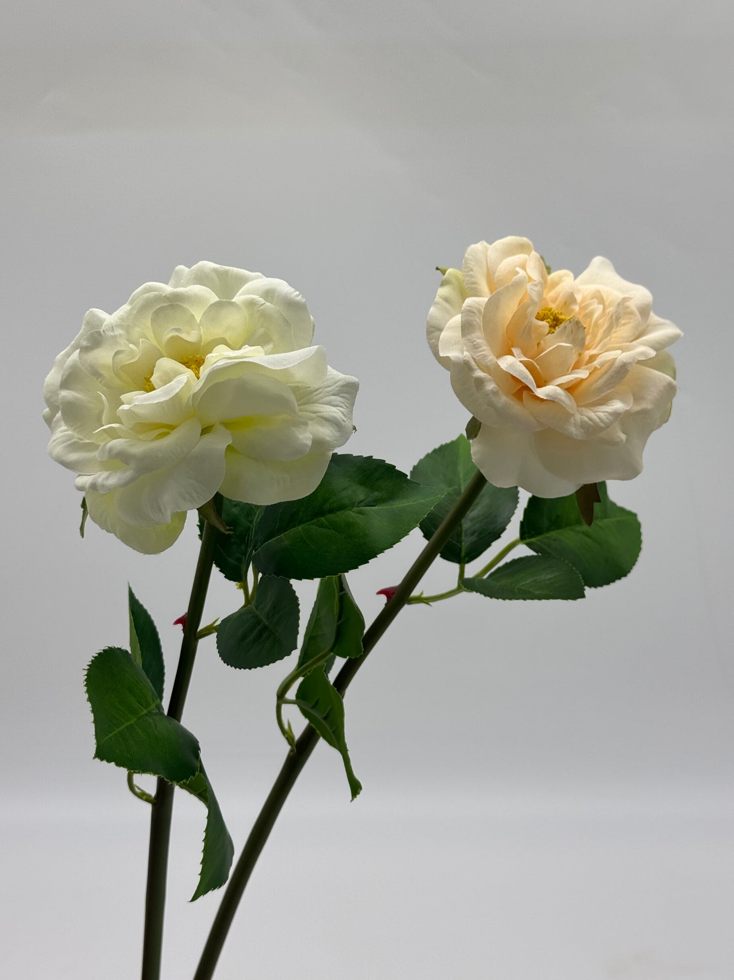 Tea Rose Single Stem Silk