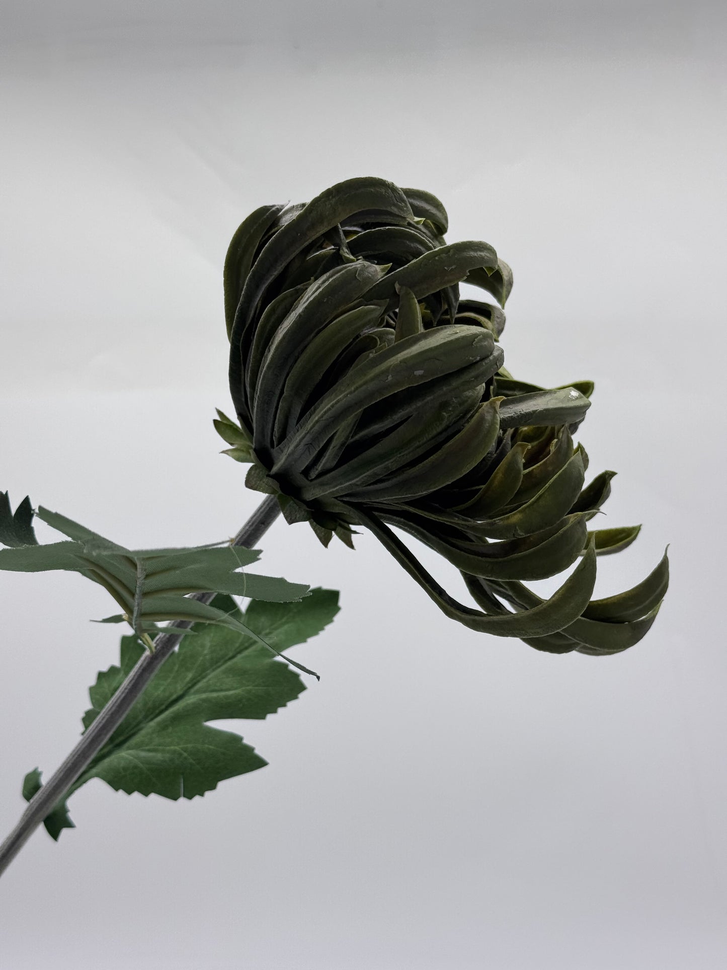 Real Touch XL Chrysanthemum Single Stem