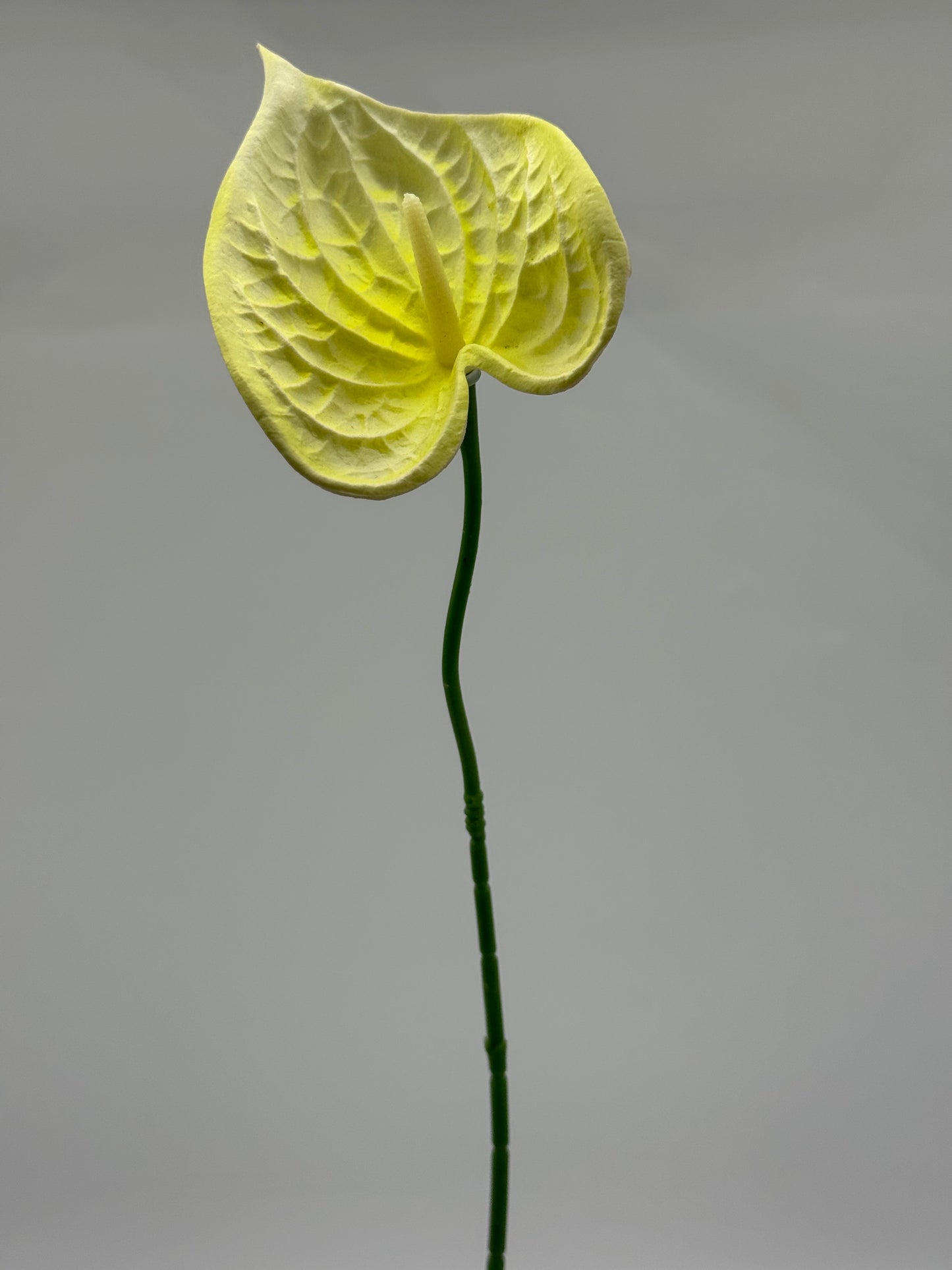 Anthurium Small Real Touch Single Stem