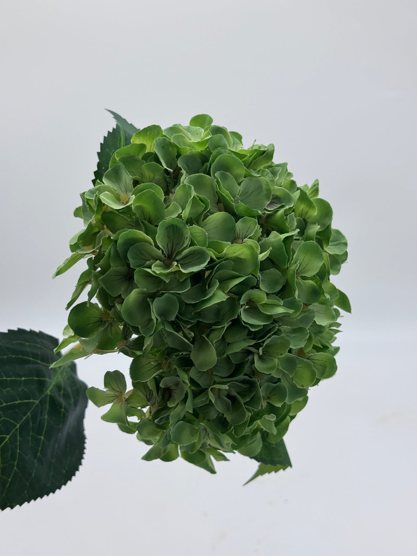 Hydrangea Ball Silk