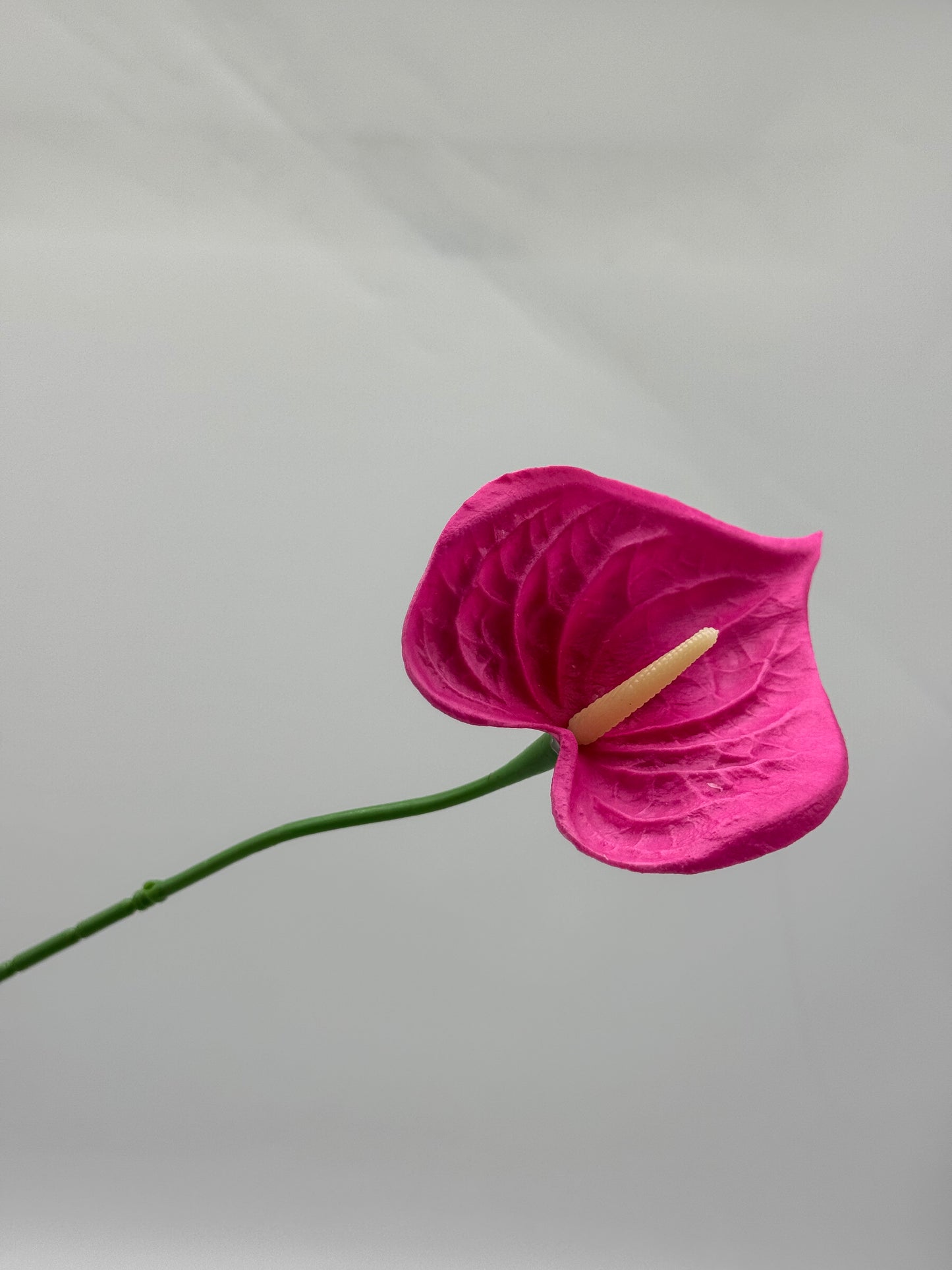 Anthurium Small Real Touch Single Stem