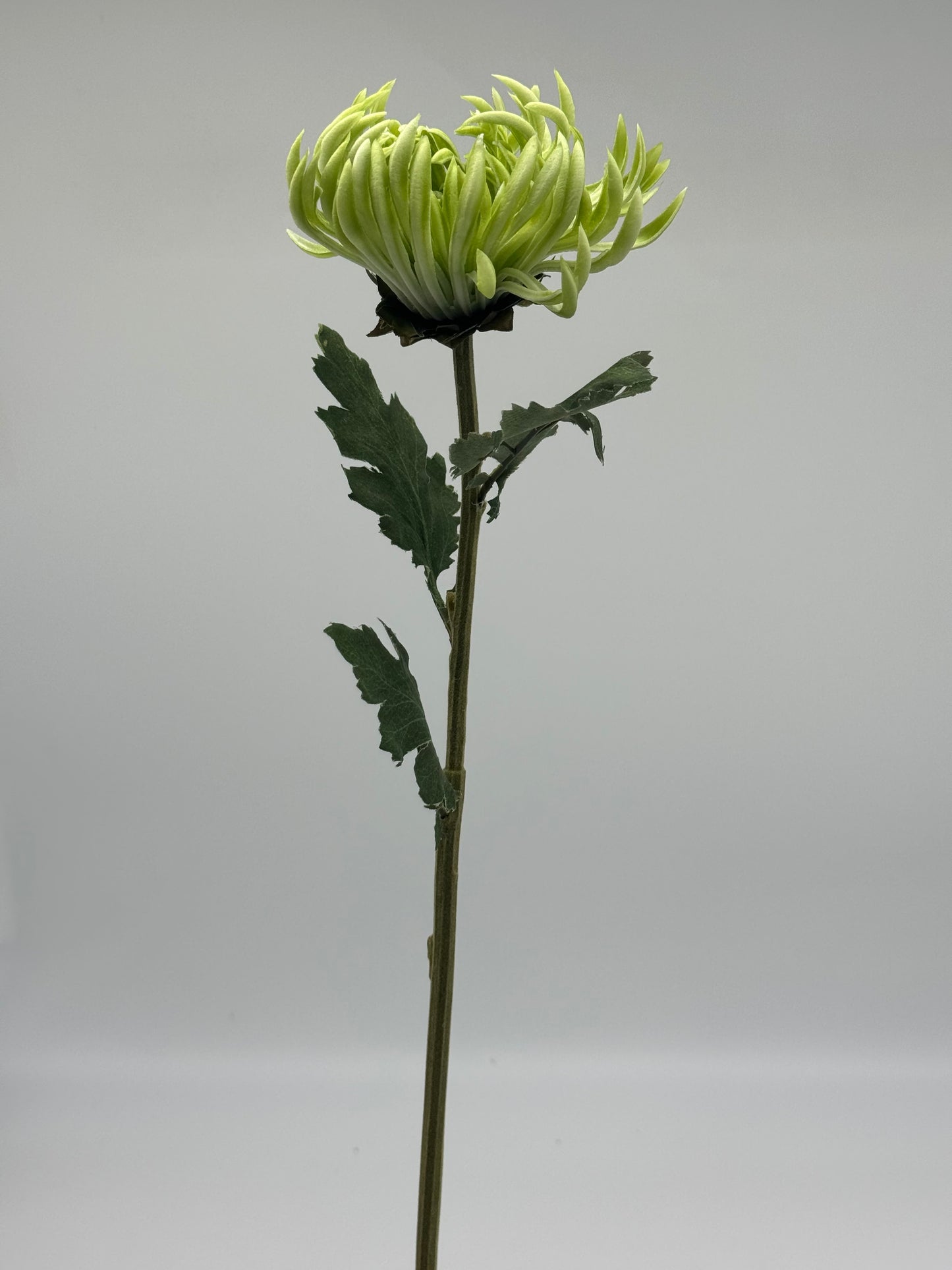Real Touch Chrysanthemum Single Stem Green