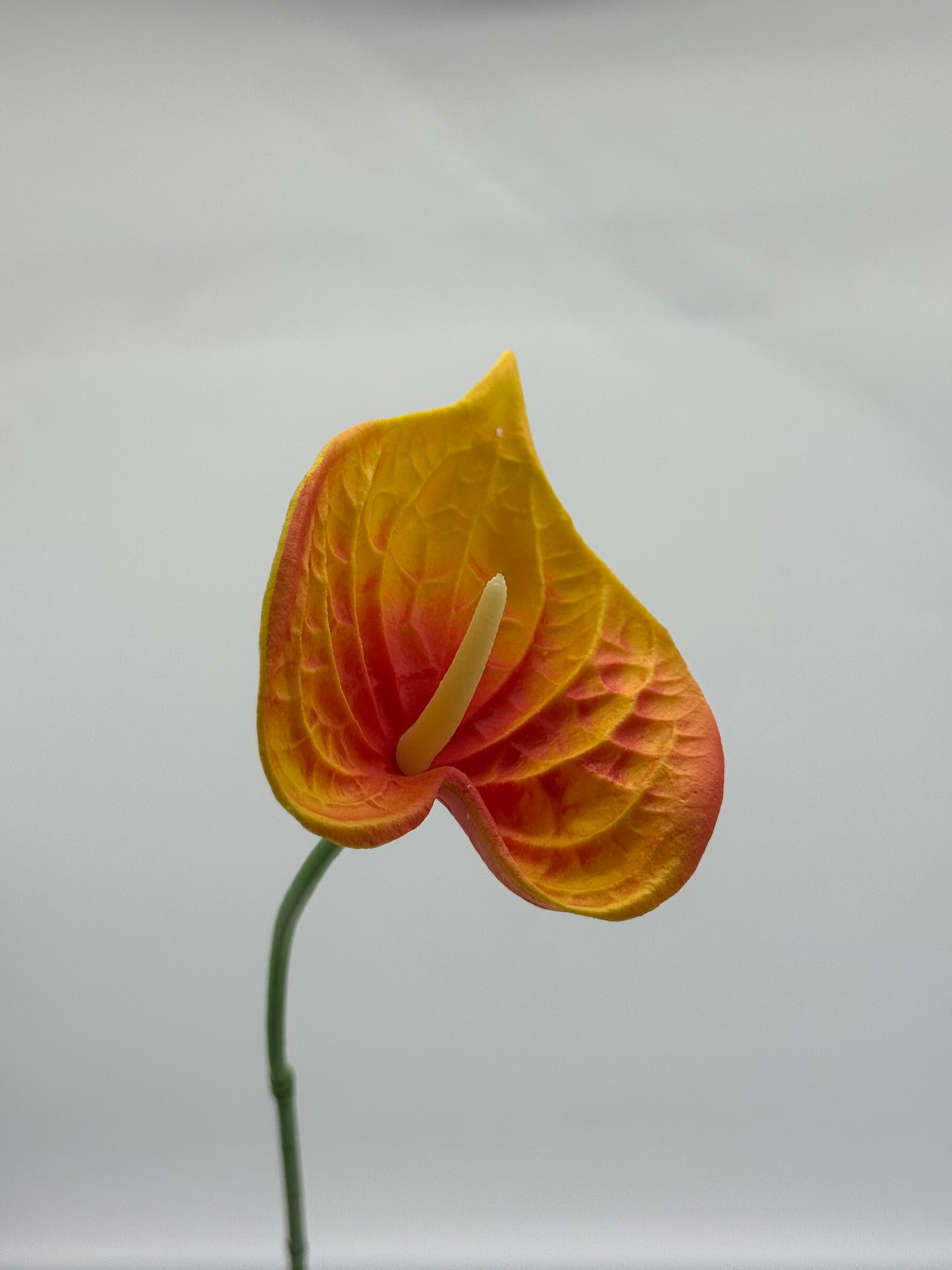 Anthurium Small Real Touch Single Stem