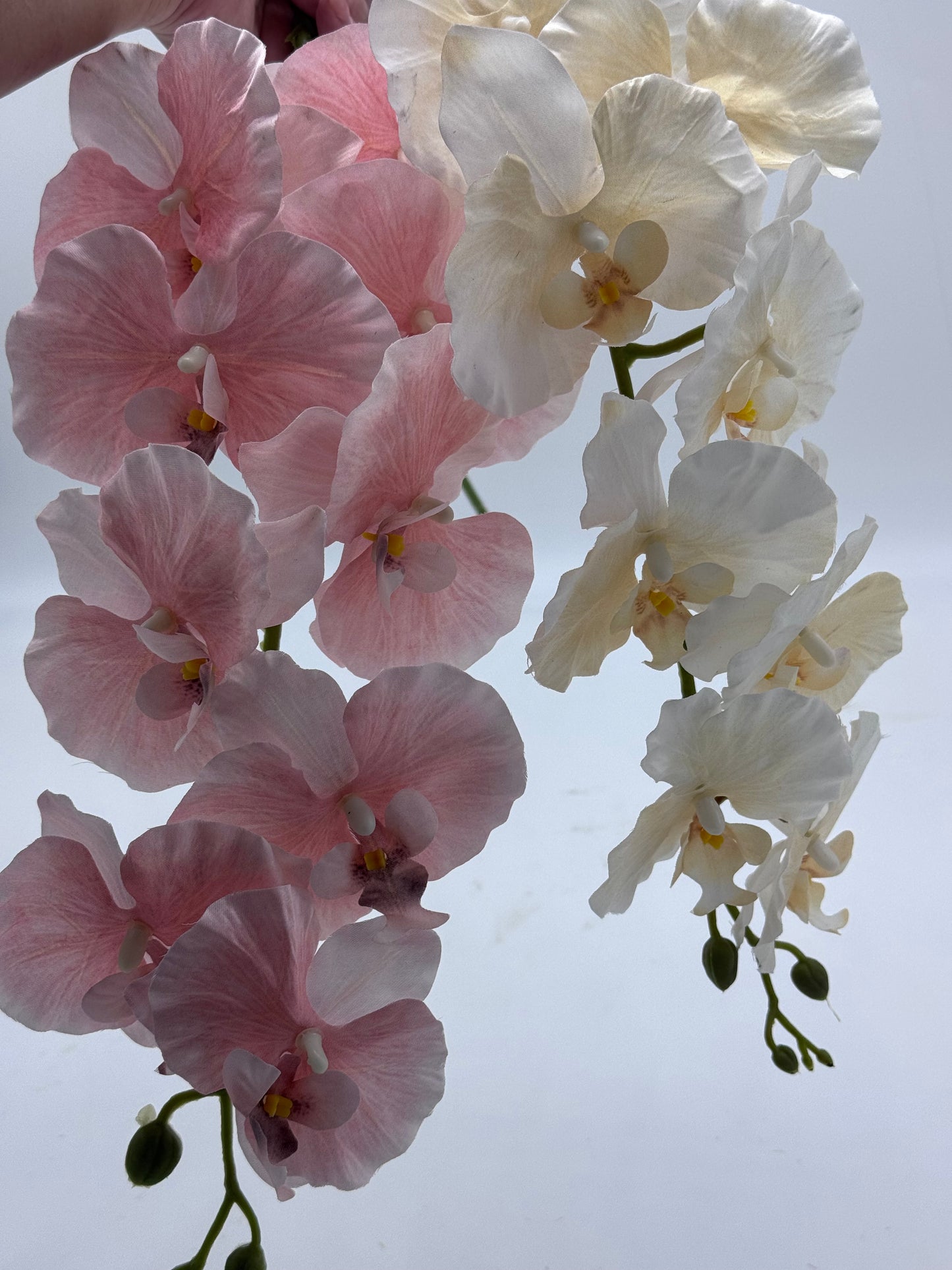 Orchid Silk