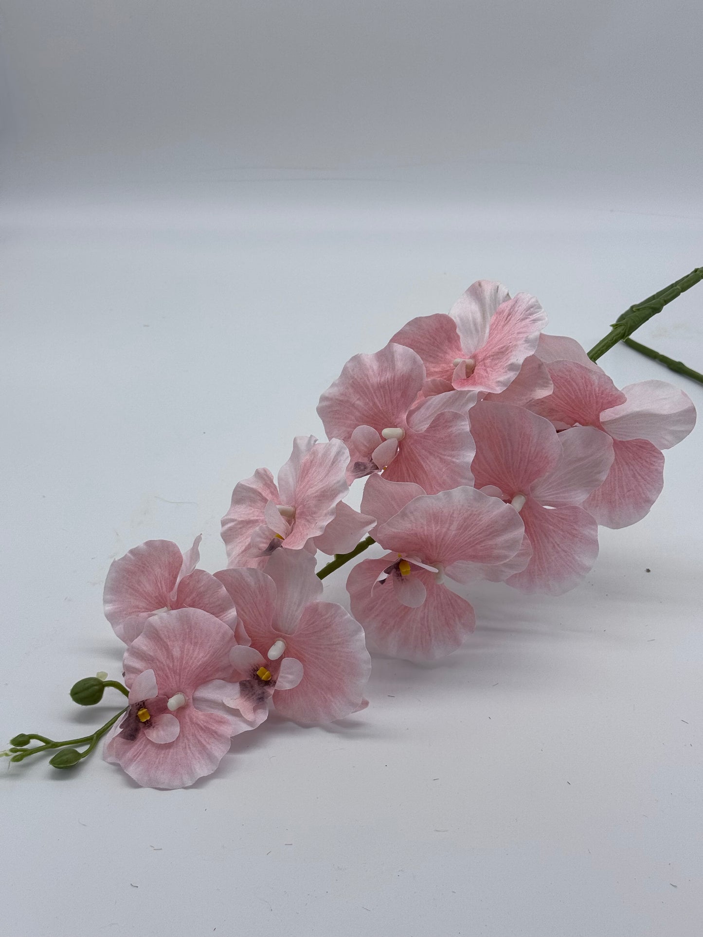 Orchid Silk