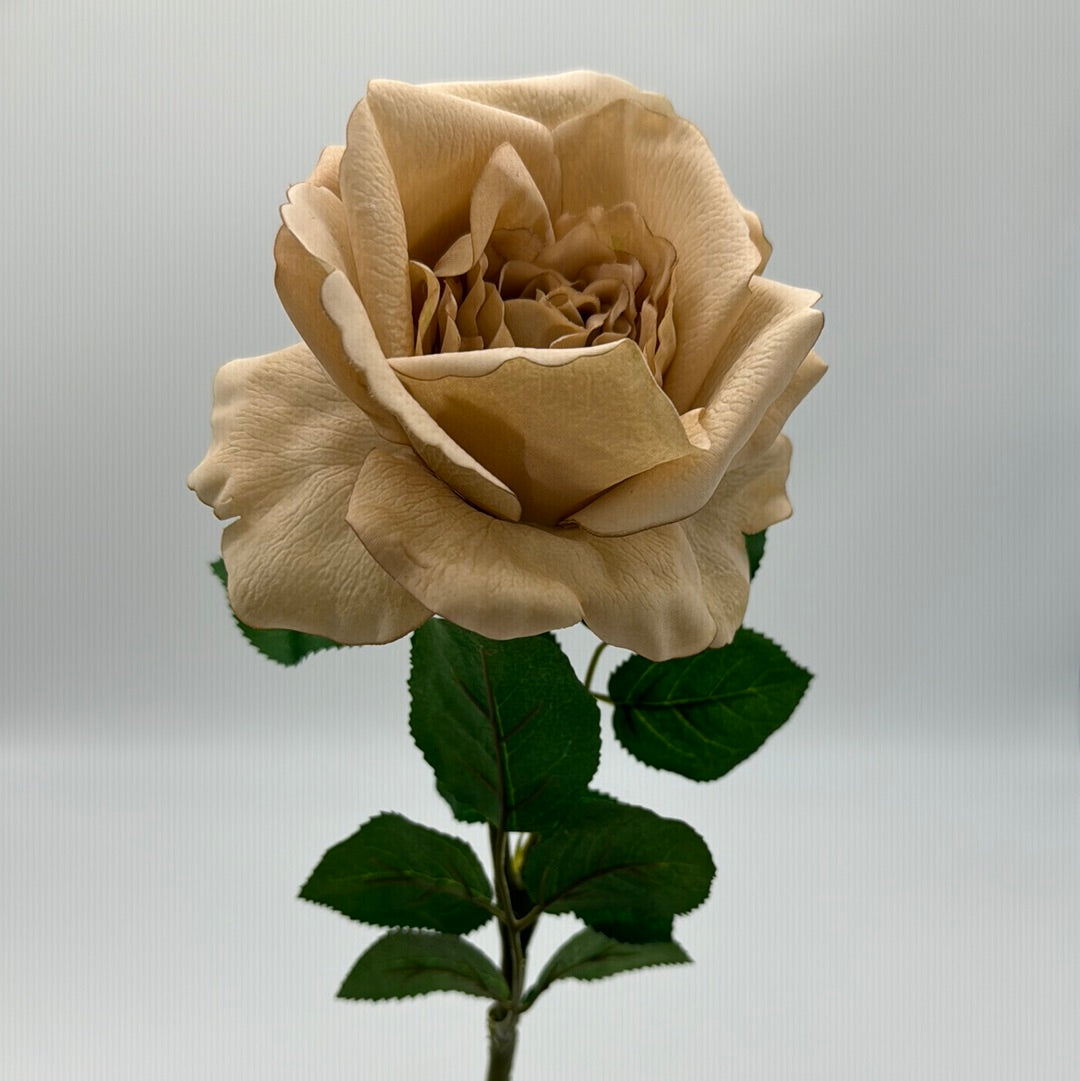 Real Touch Rose Astrid Coffee