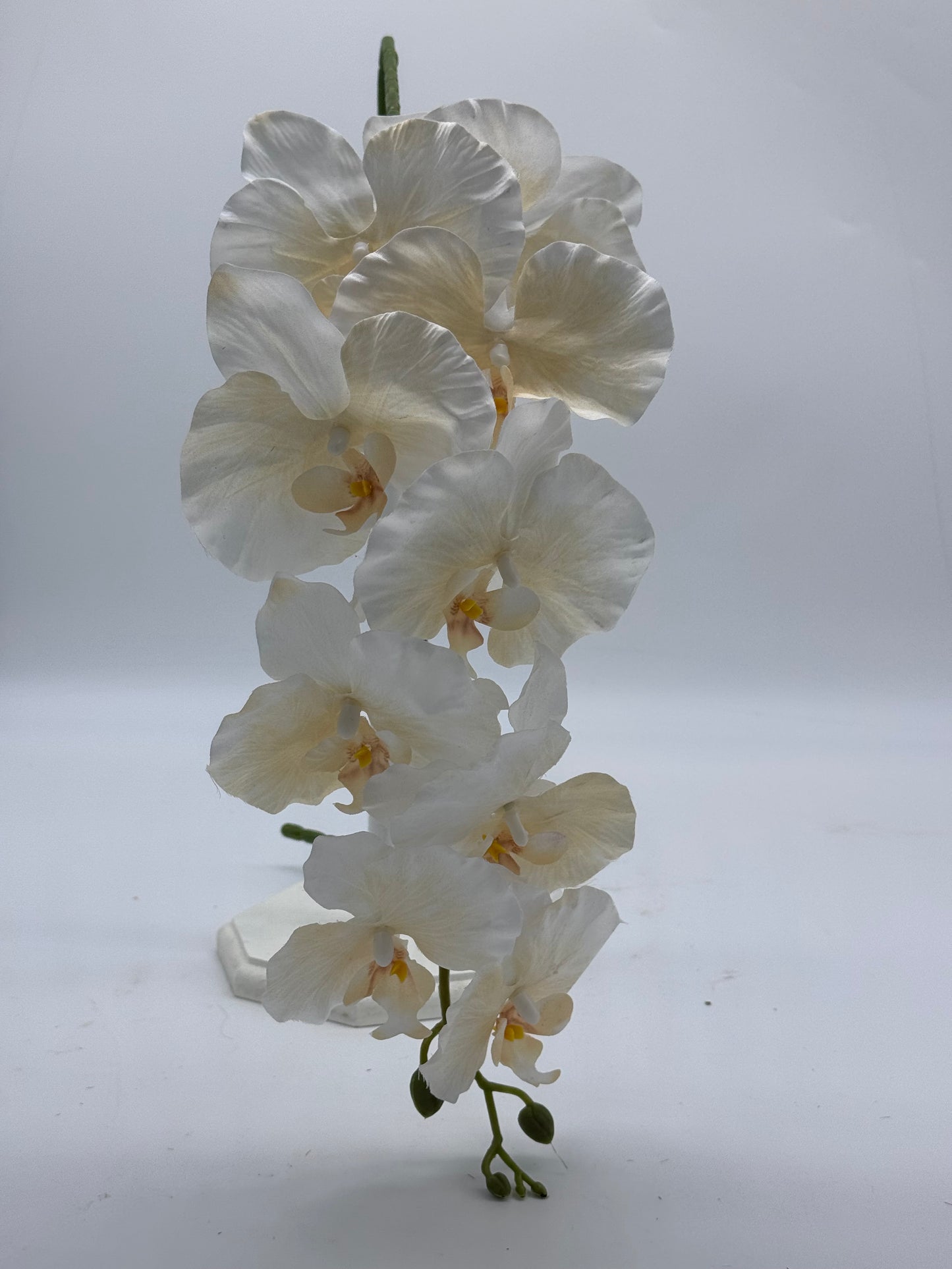 Orchid Silk