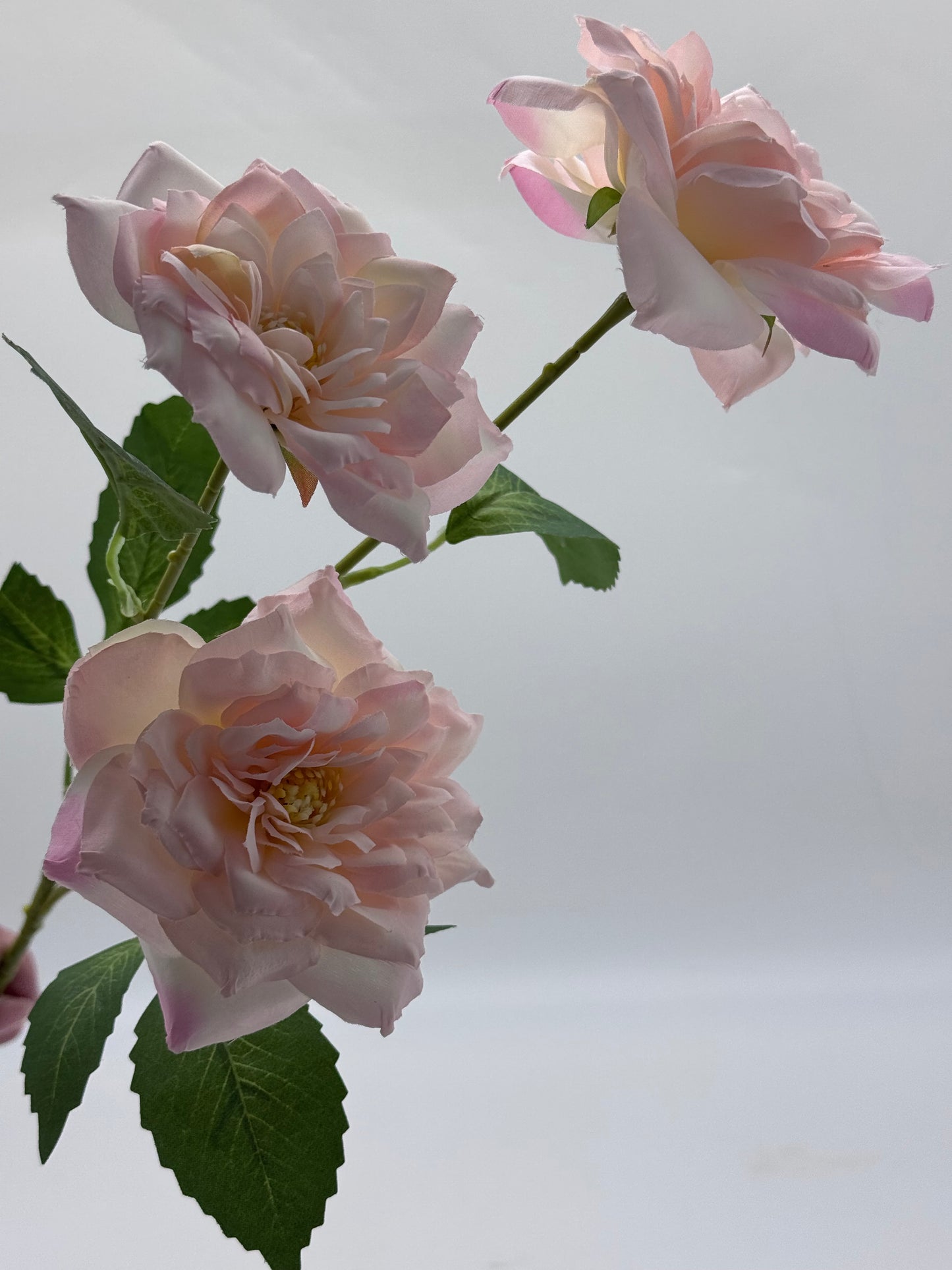 Tea Roses Spray 3H Silk