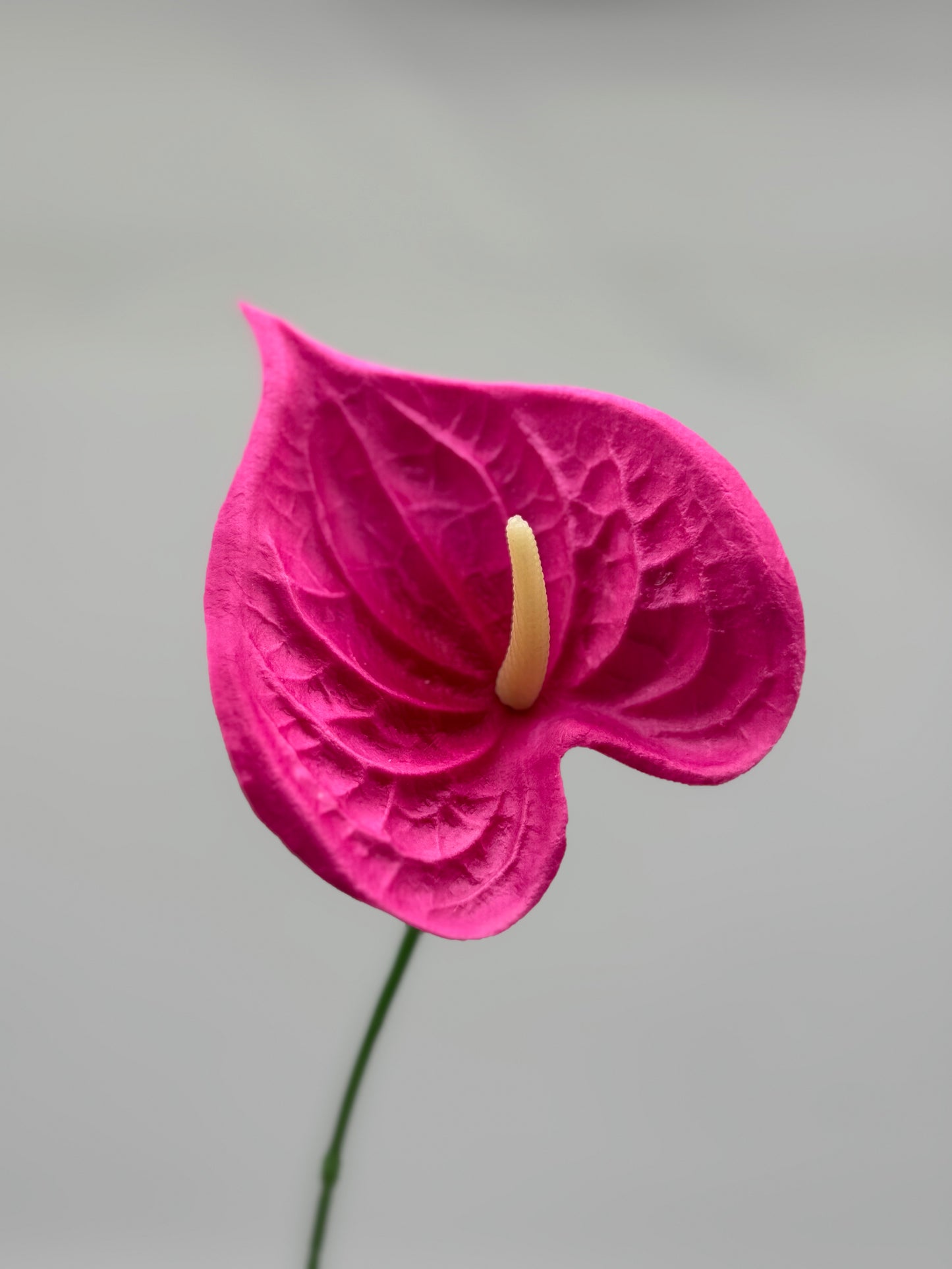 Anthurium Small Real Touch Single Stem