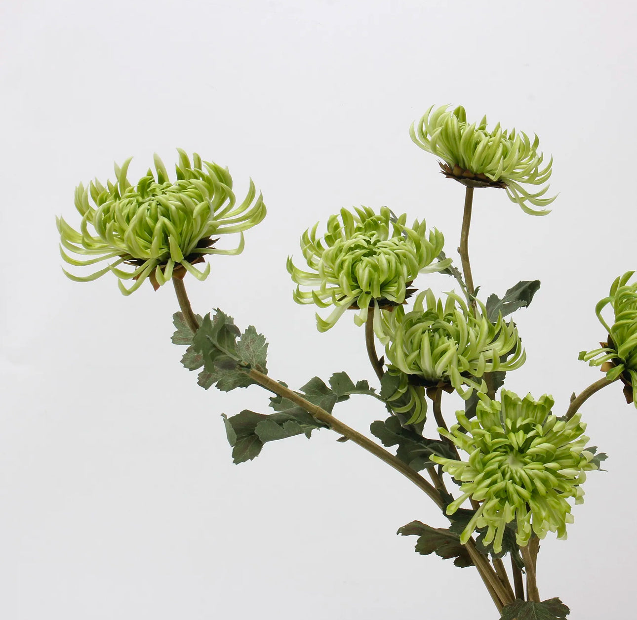 Real Touch Chrysanthemum Single Stem Green
