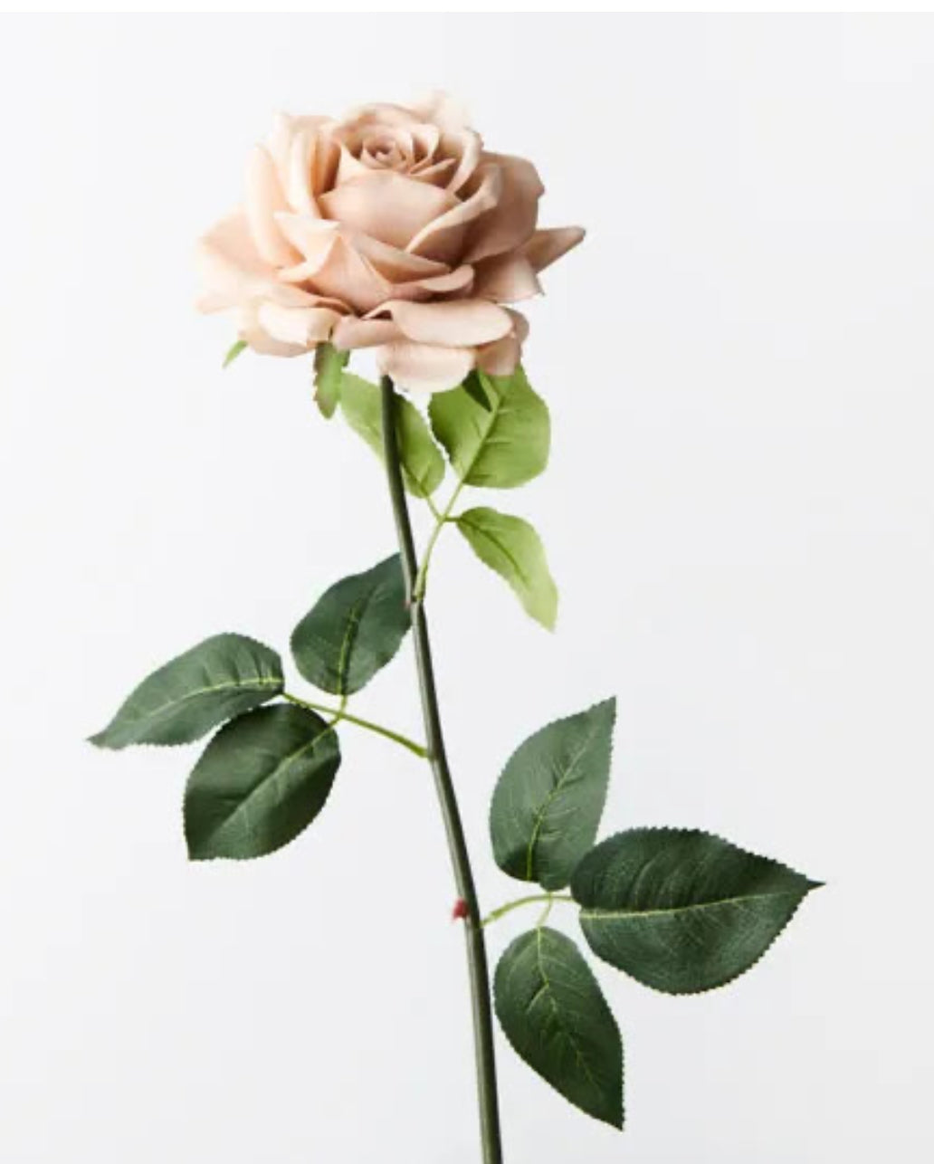 Real Touch Hannah Single Stem Rose