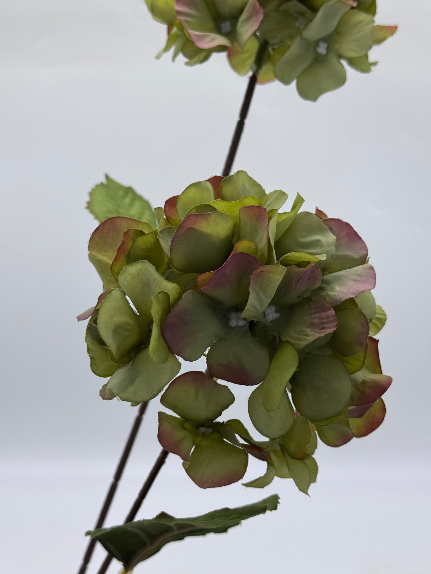 Hydrangeas 2H Spray Silk