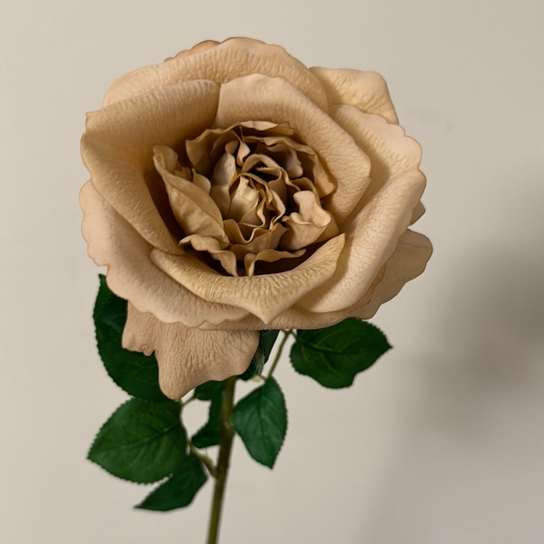 Real Touch Rose Astrid Coffee