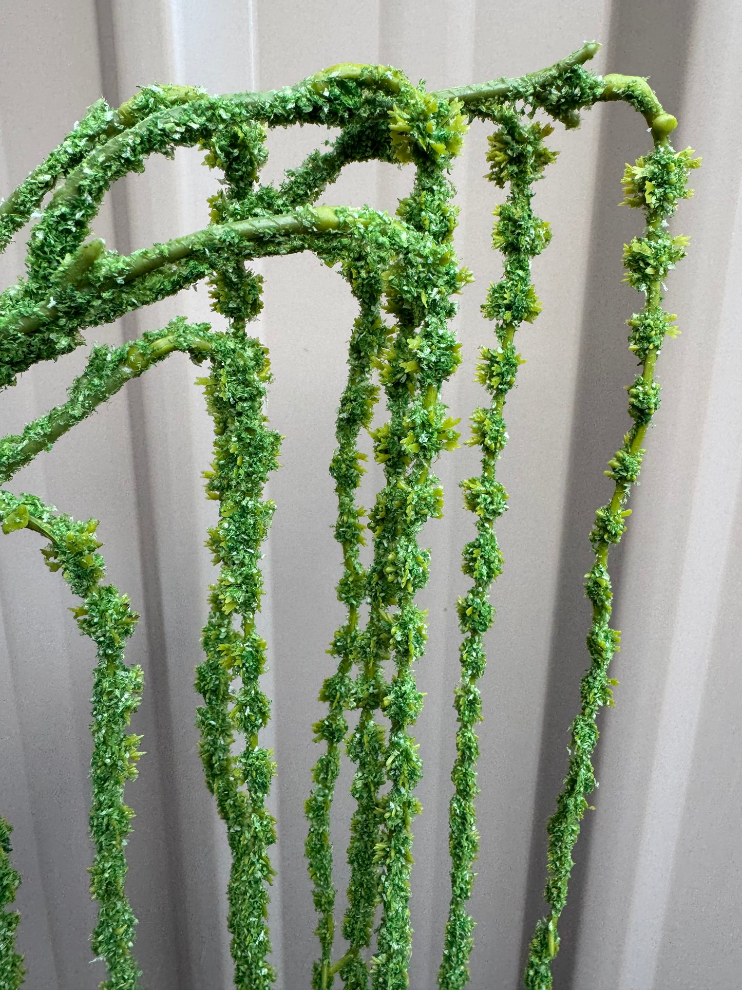 Real Touch Amaranthus