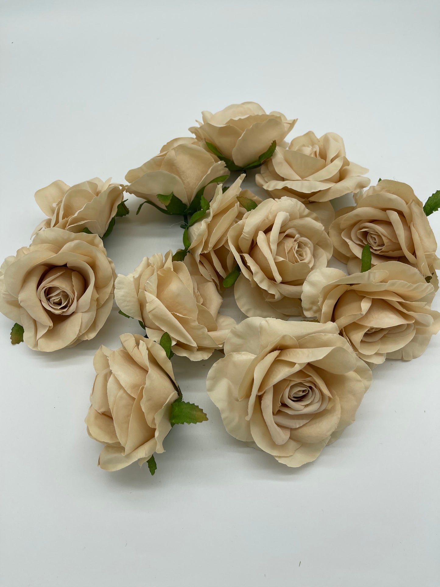 Rose Head Beige 12pcs