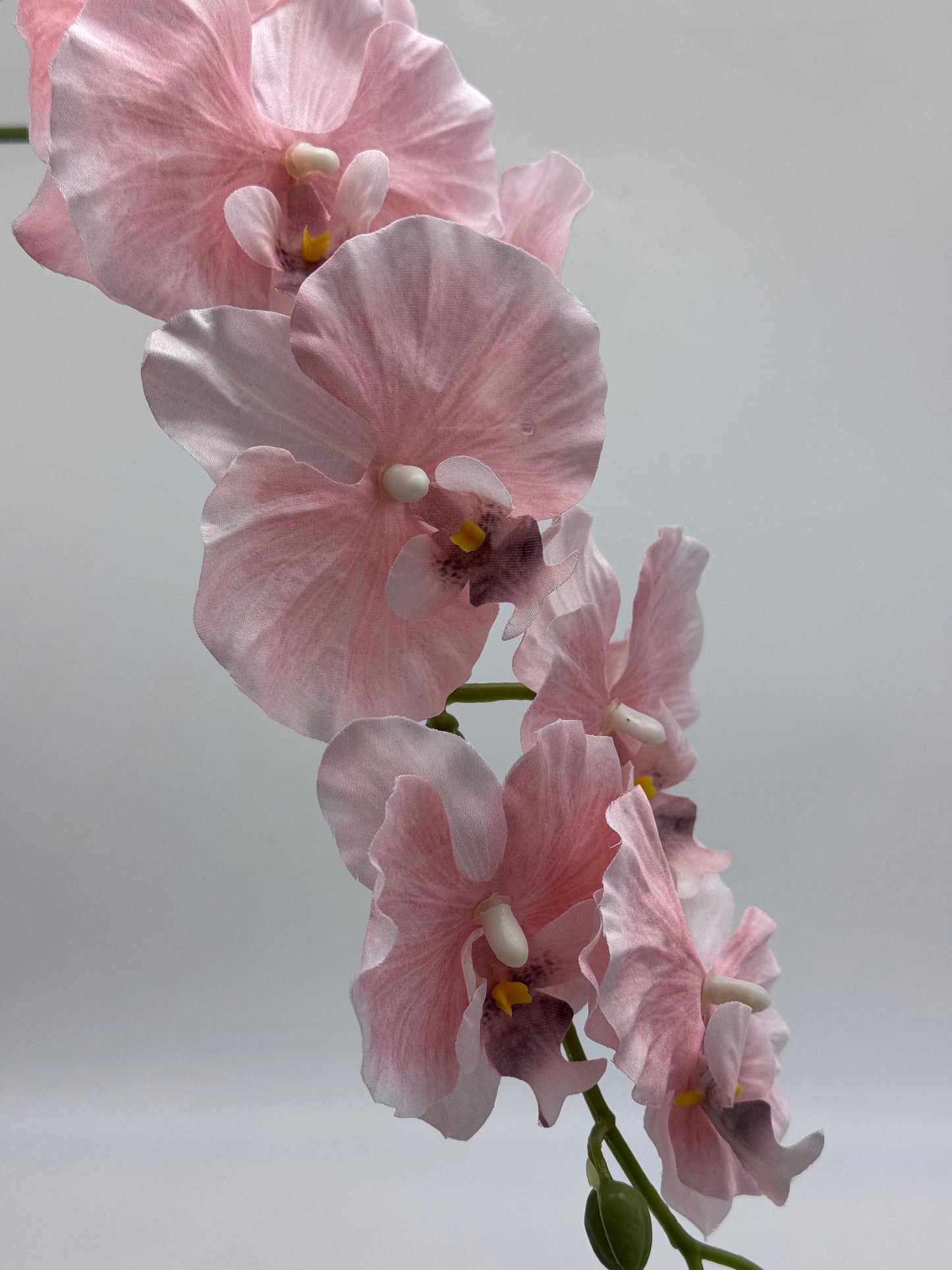 Orchid Silk