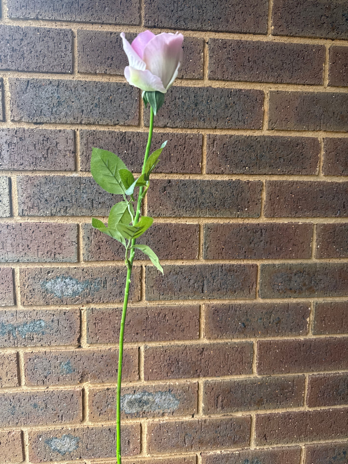 Maya Real Touch Bud Rose
