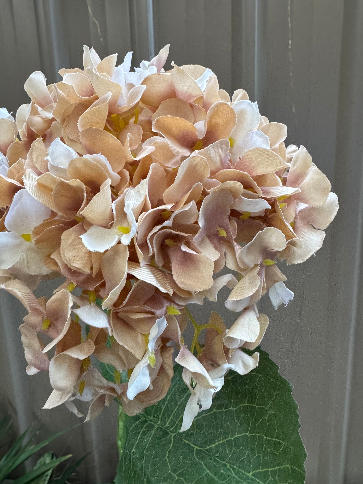 Hydrangea Single Silk