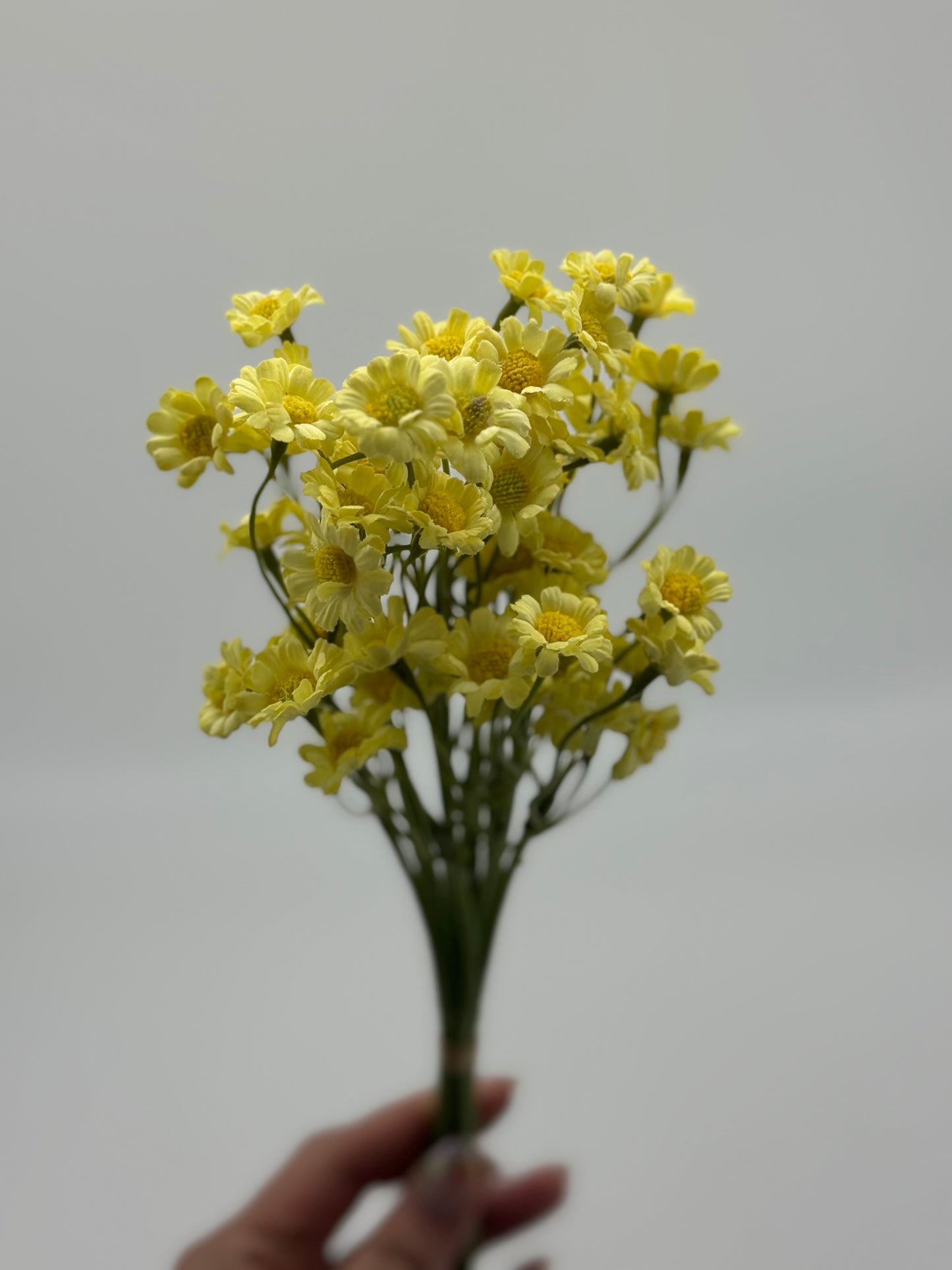 Daisy Mini Bouquet 6pcs Yellow