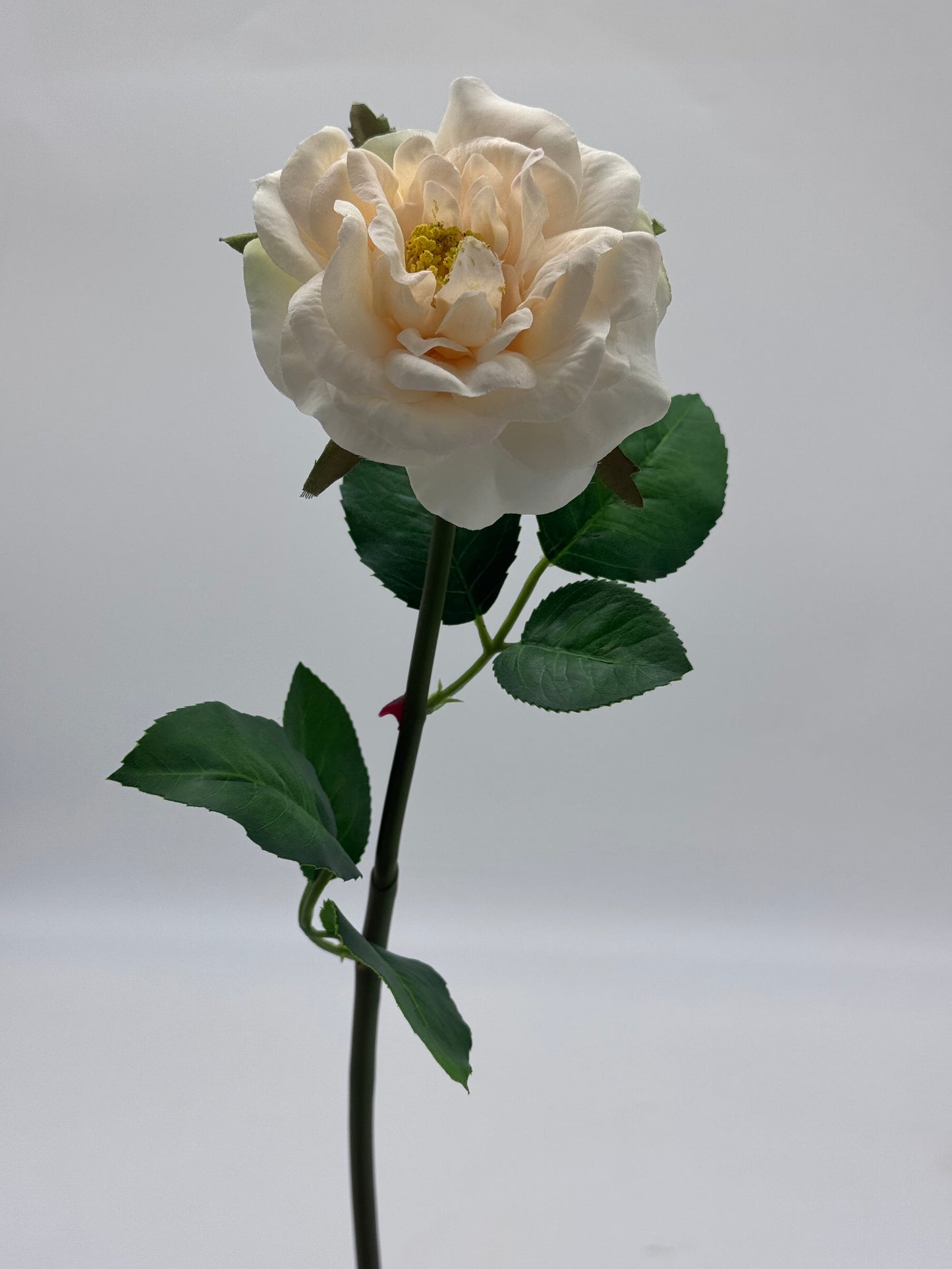 Tea Rose Single Stem Silk