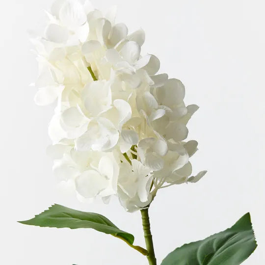 Hydrangea Small Cone Blue