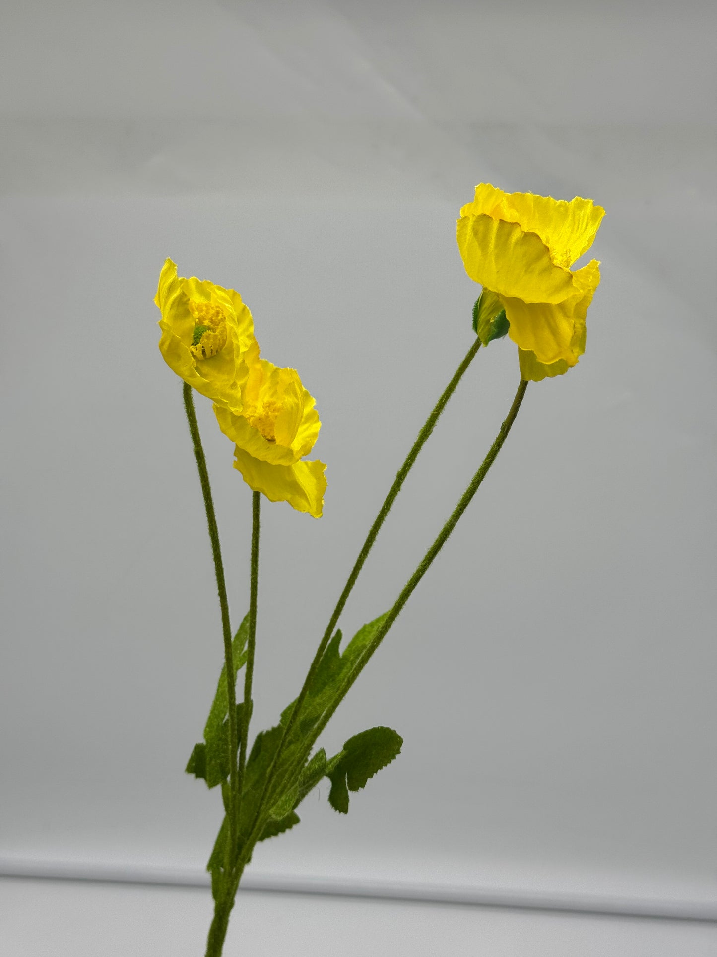 Poppy Spray