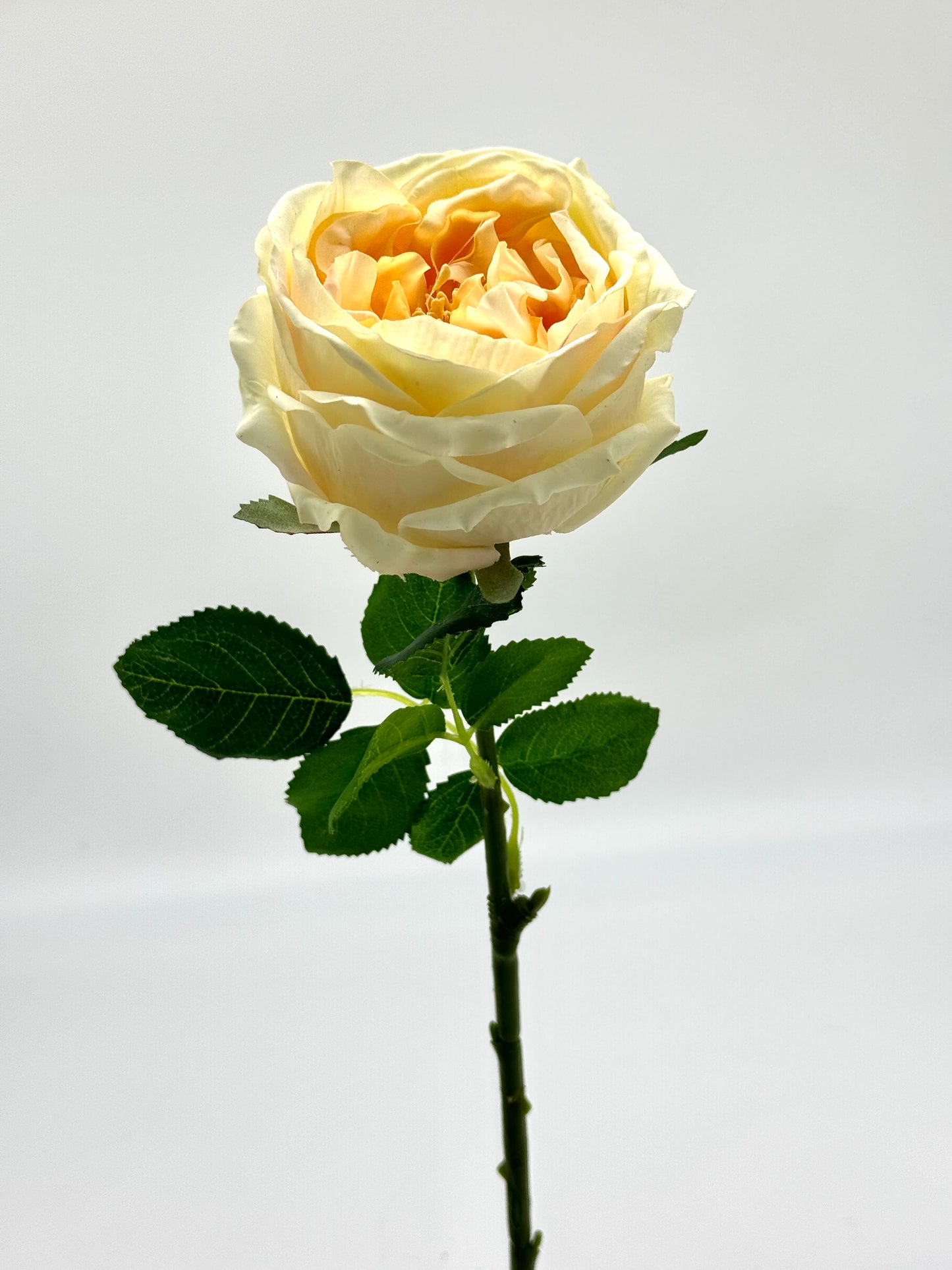 Real Touch Single Stem David Austin Butter Yellow