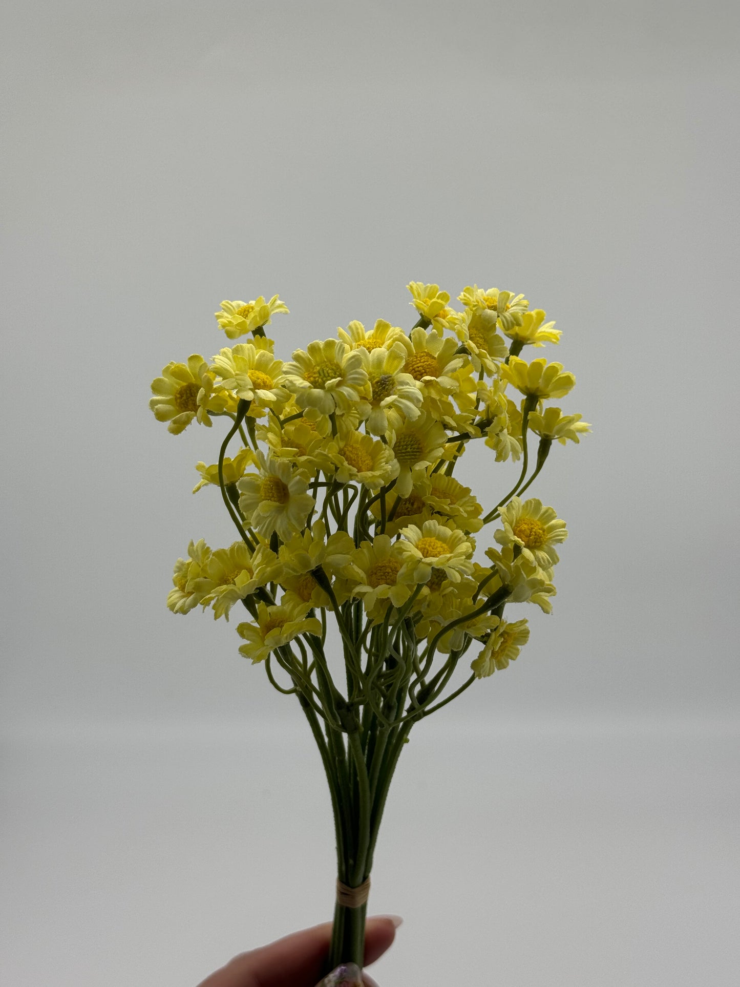 Daisy Mini Bouquet 6pcs Yellow
