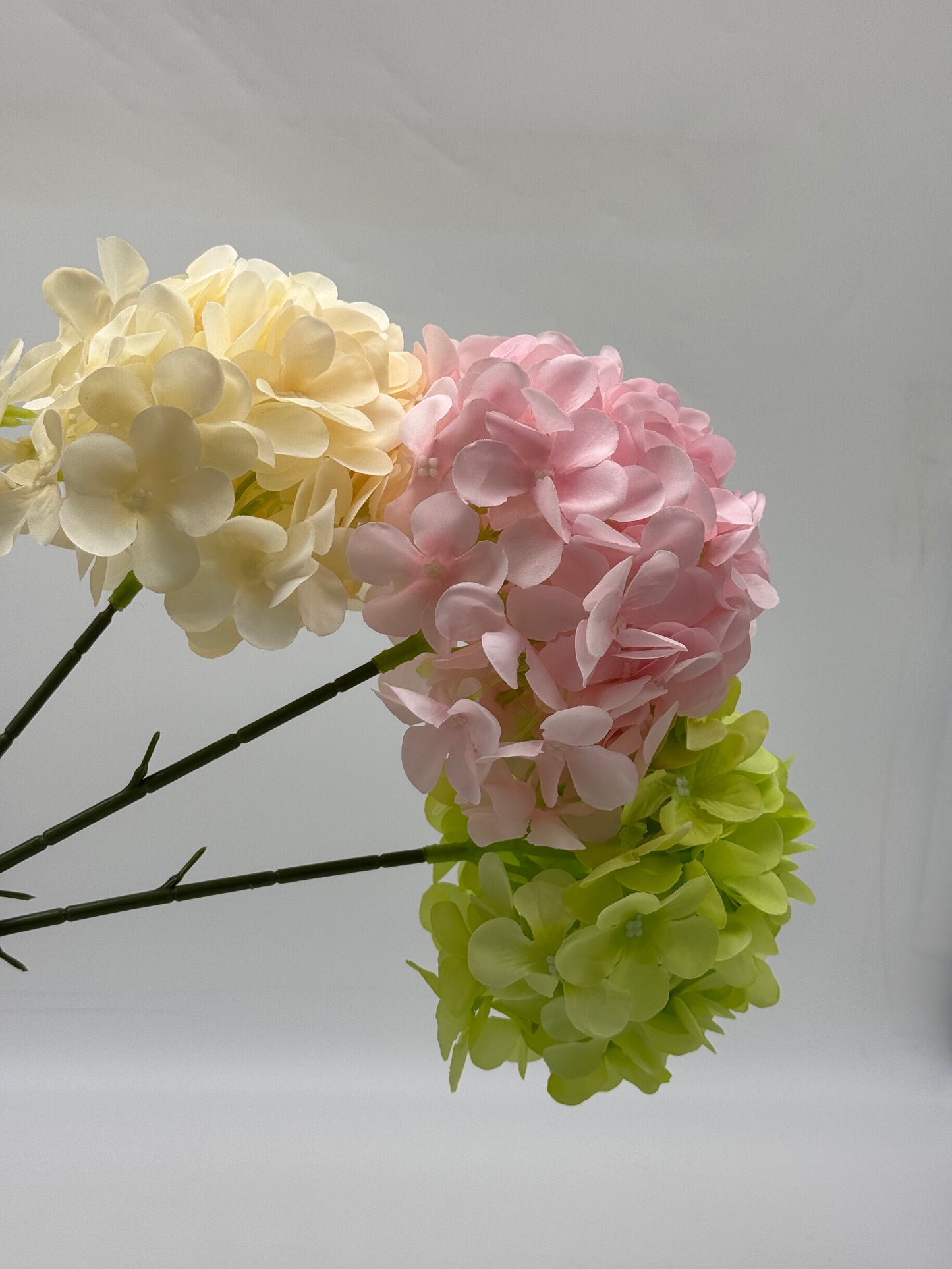 Hydrangea Single Stem Ball