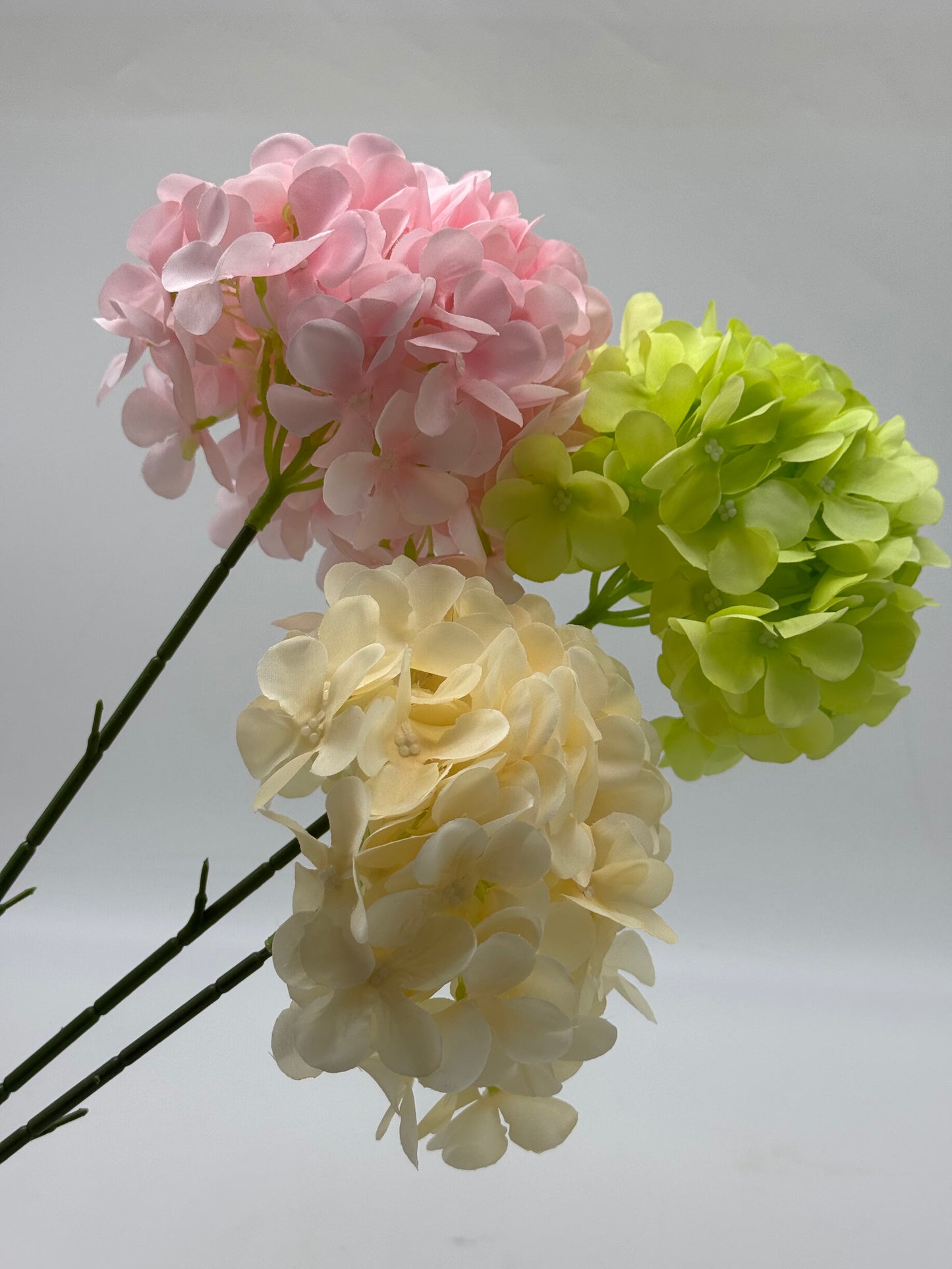 Hydrangea Single Stem Ball