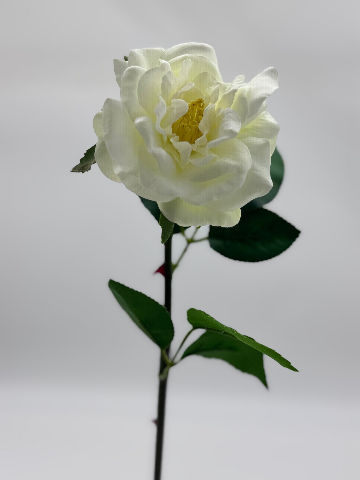 Tea Rose Single Stem Silk