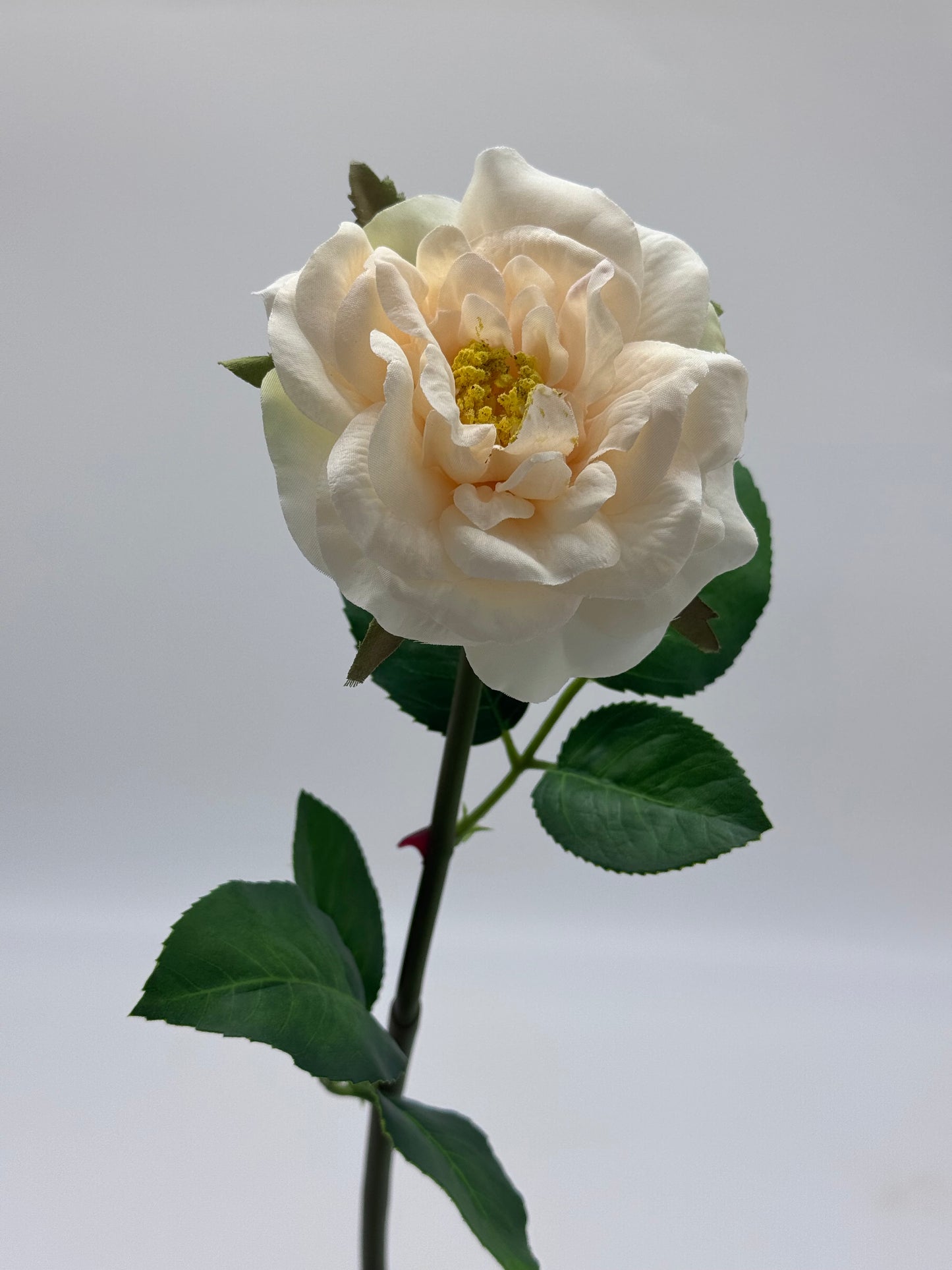 Tea Rose Single Stem Silk