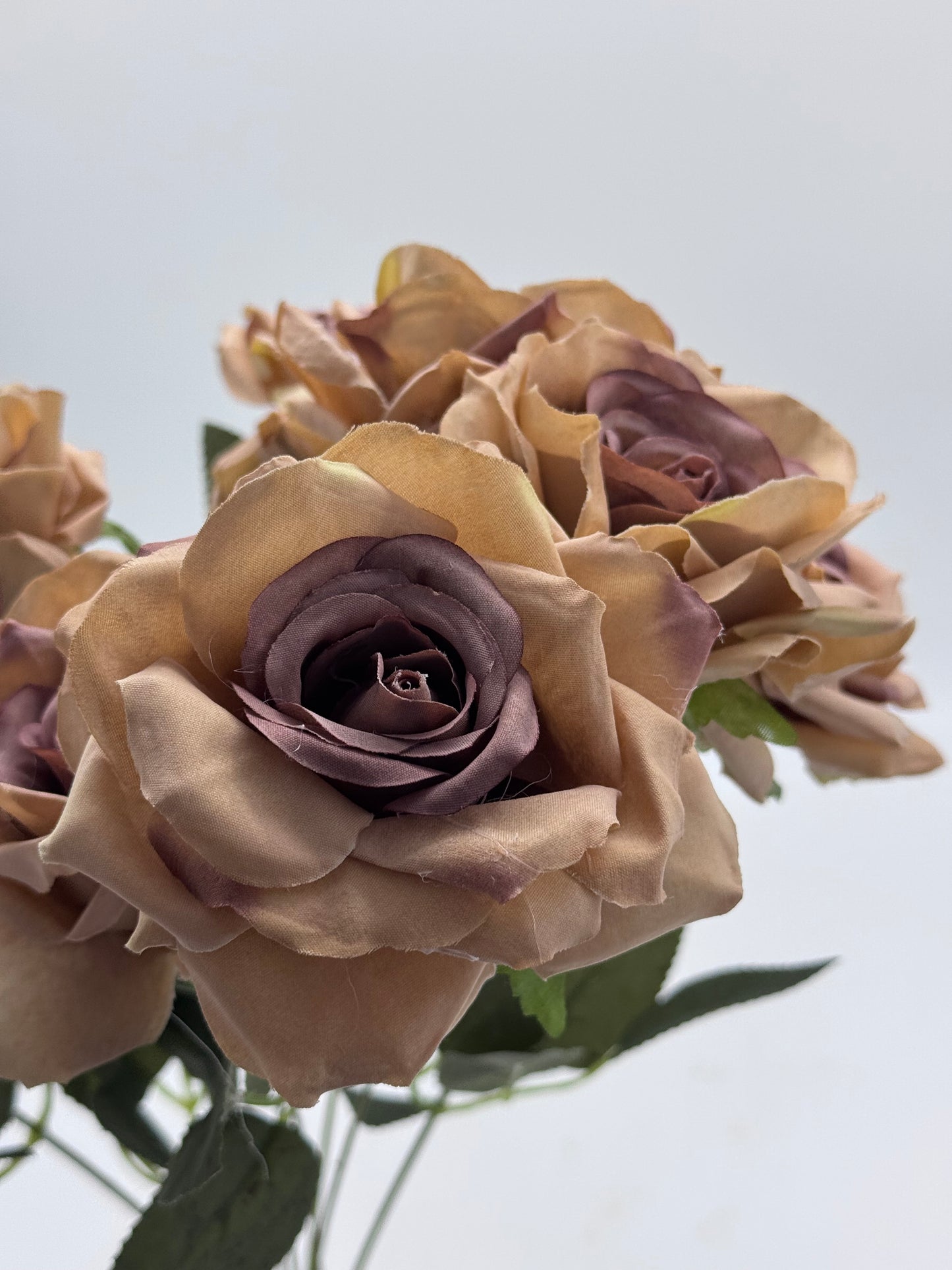 Stella Bouquet Roses 9 Head Spray