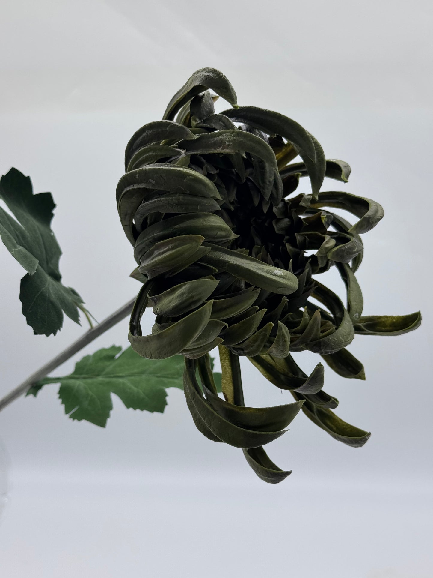 Real Touch XL Chrysanthemum Single Stem