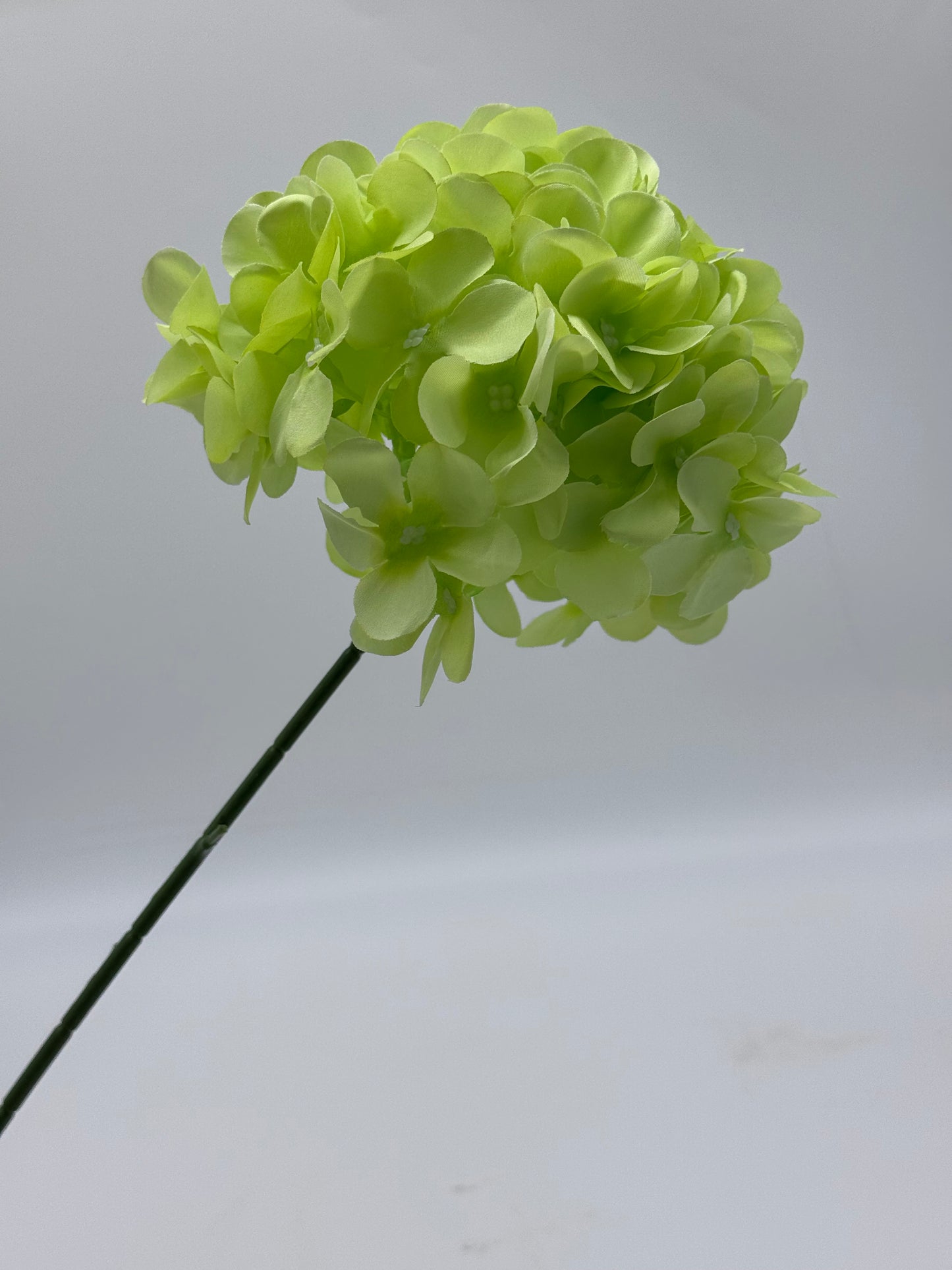 Hydrangea Single Stem Ball