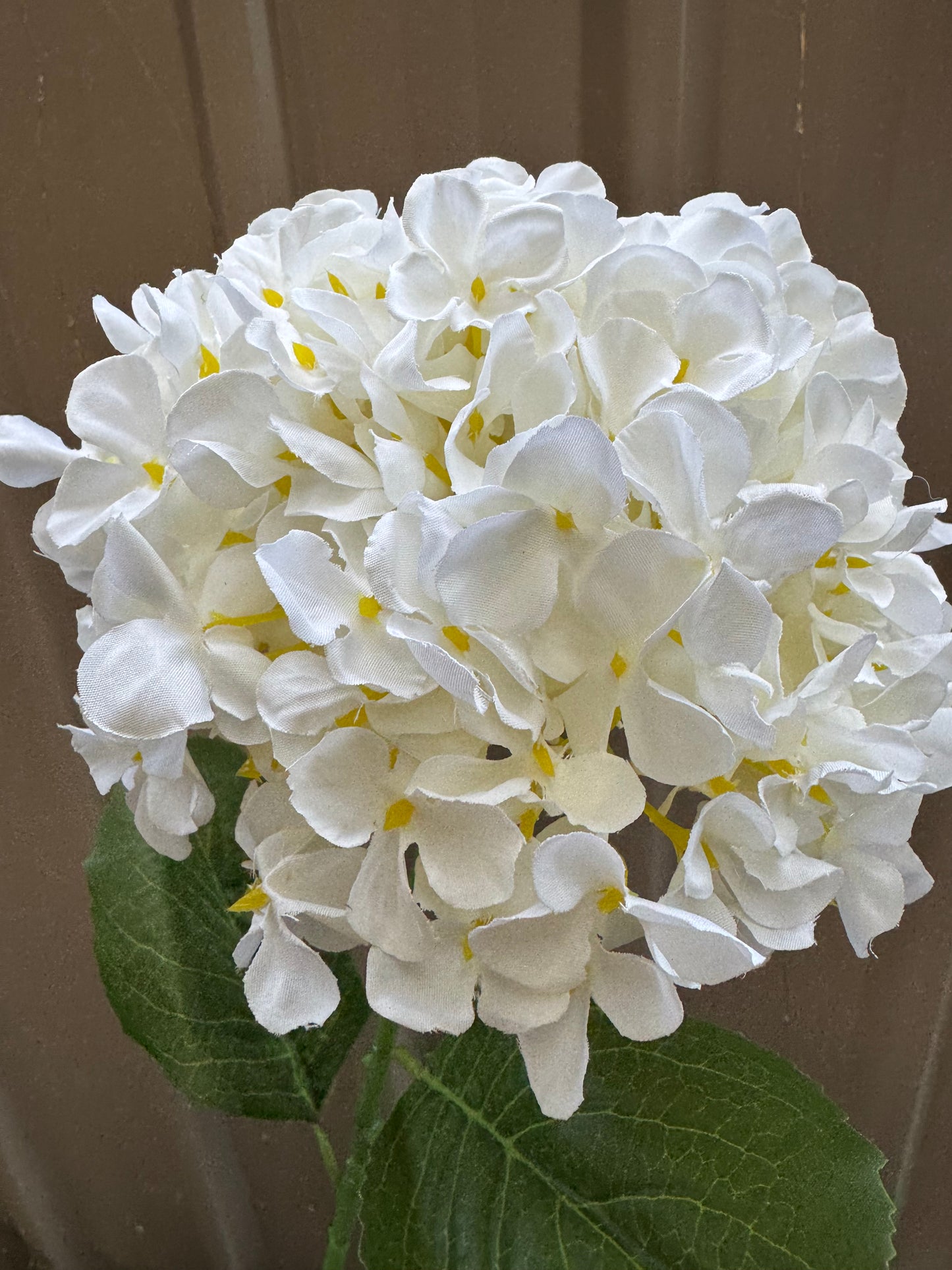 Hydrangea Single Silk