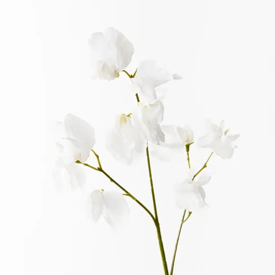 Real Touch Sweetpea Spray White