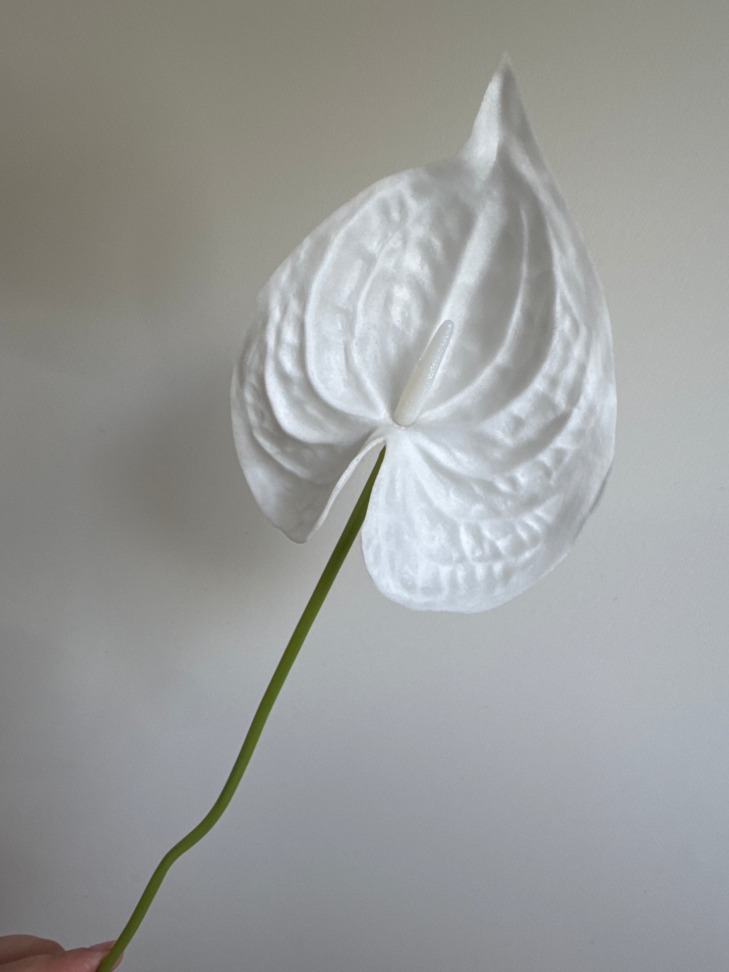 Real Touch Extra Large Anthurium White