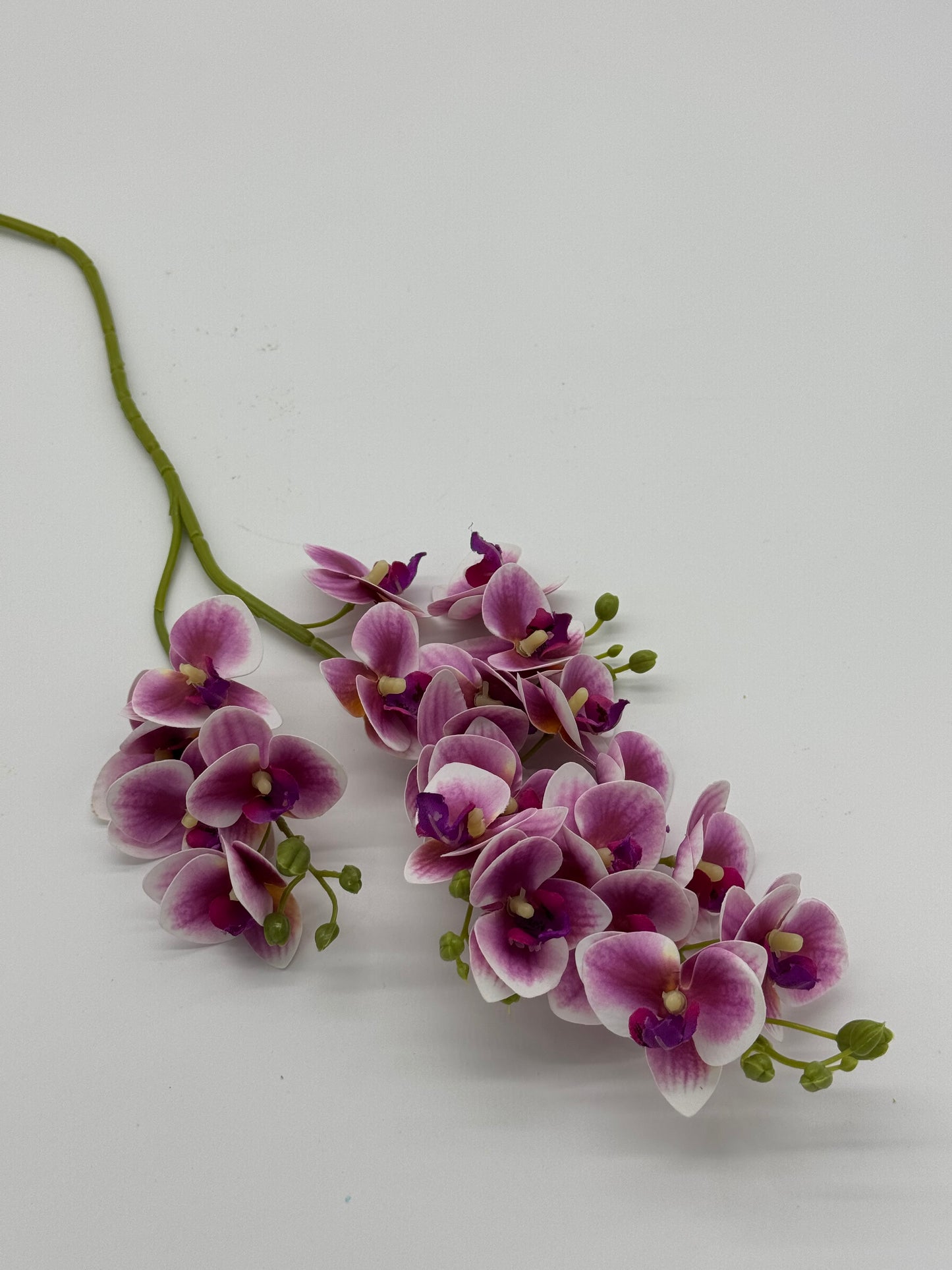 Orchid Phalaenopsis Spray Purple