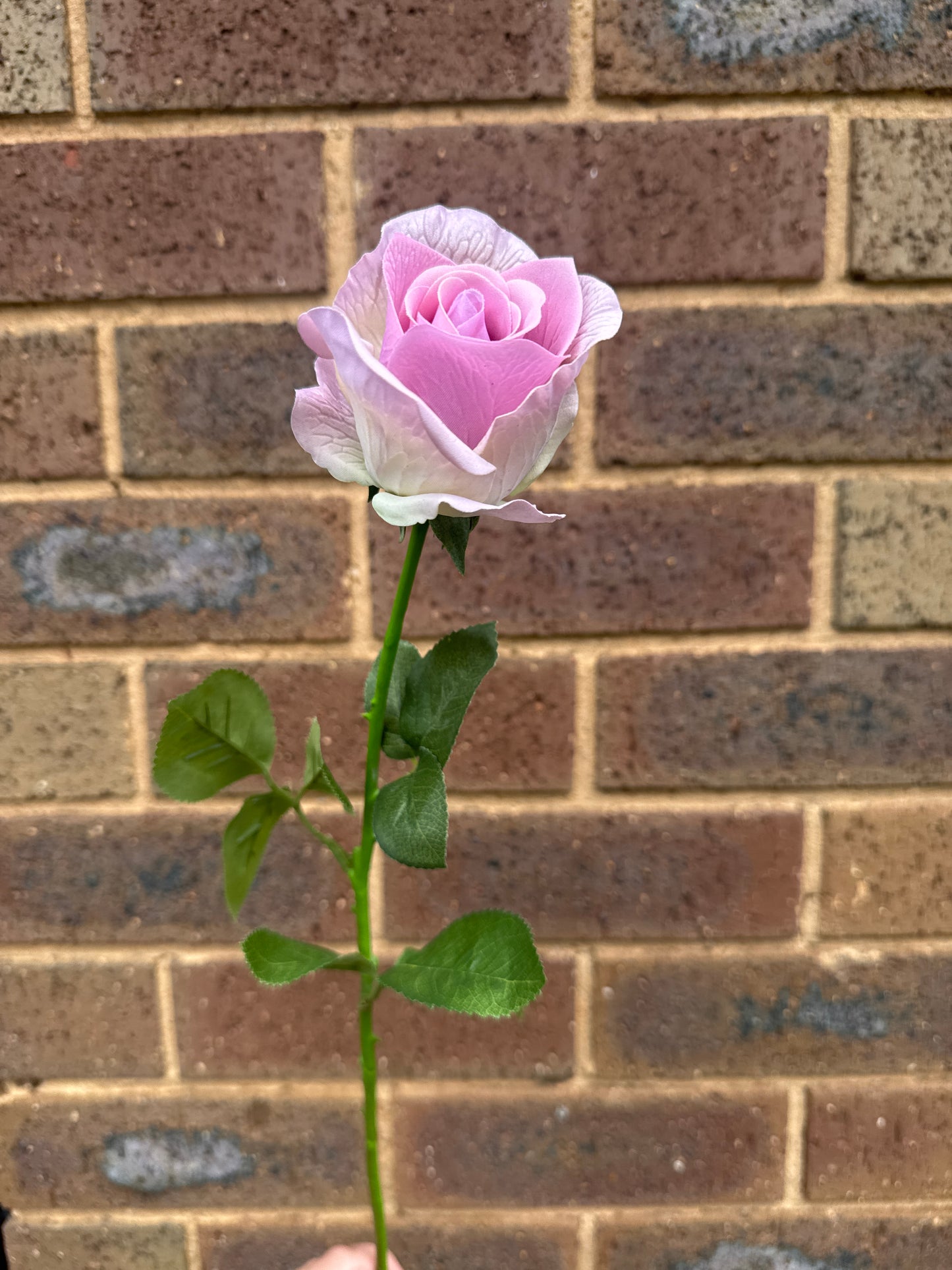 Maya Real Touch Bud Rose