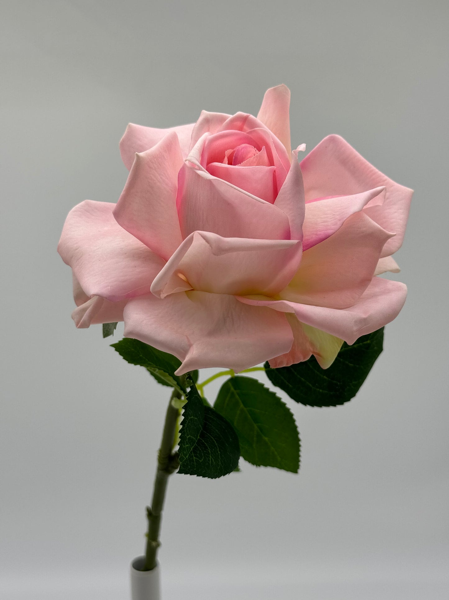 Tricia Real Touch Single Stem Rose