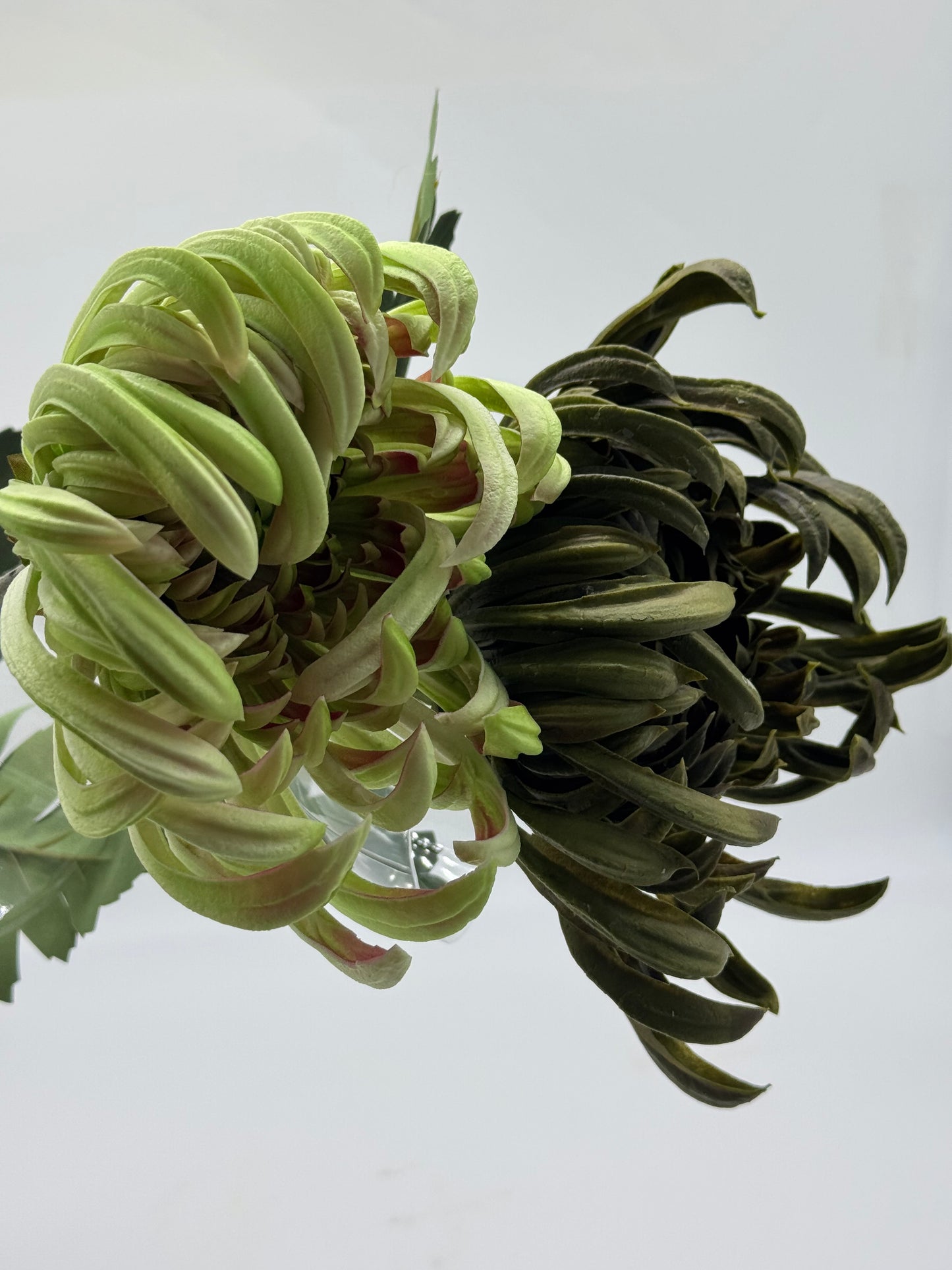 Real Touch XL Chrysanthemum Single Stem