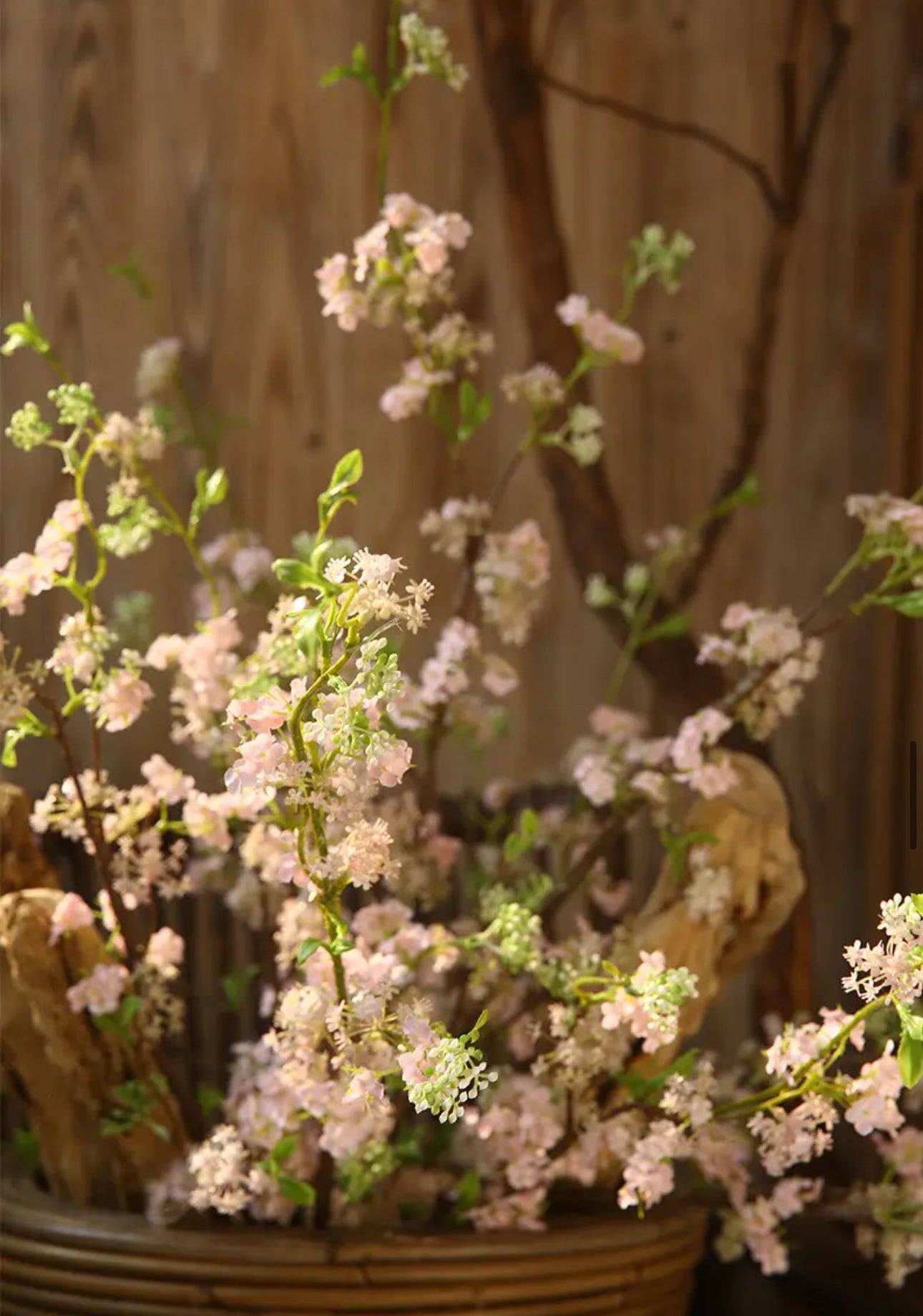 Snow Willow Cherry Blossom Whimsical Pink