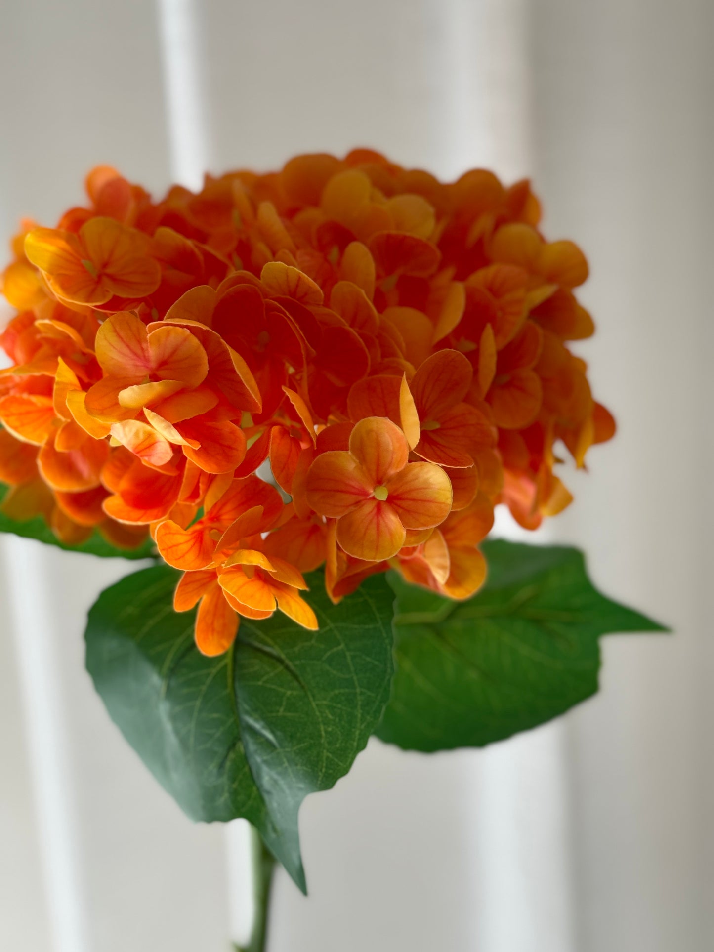Real Touch Medium Hydrangea Orange